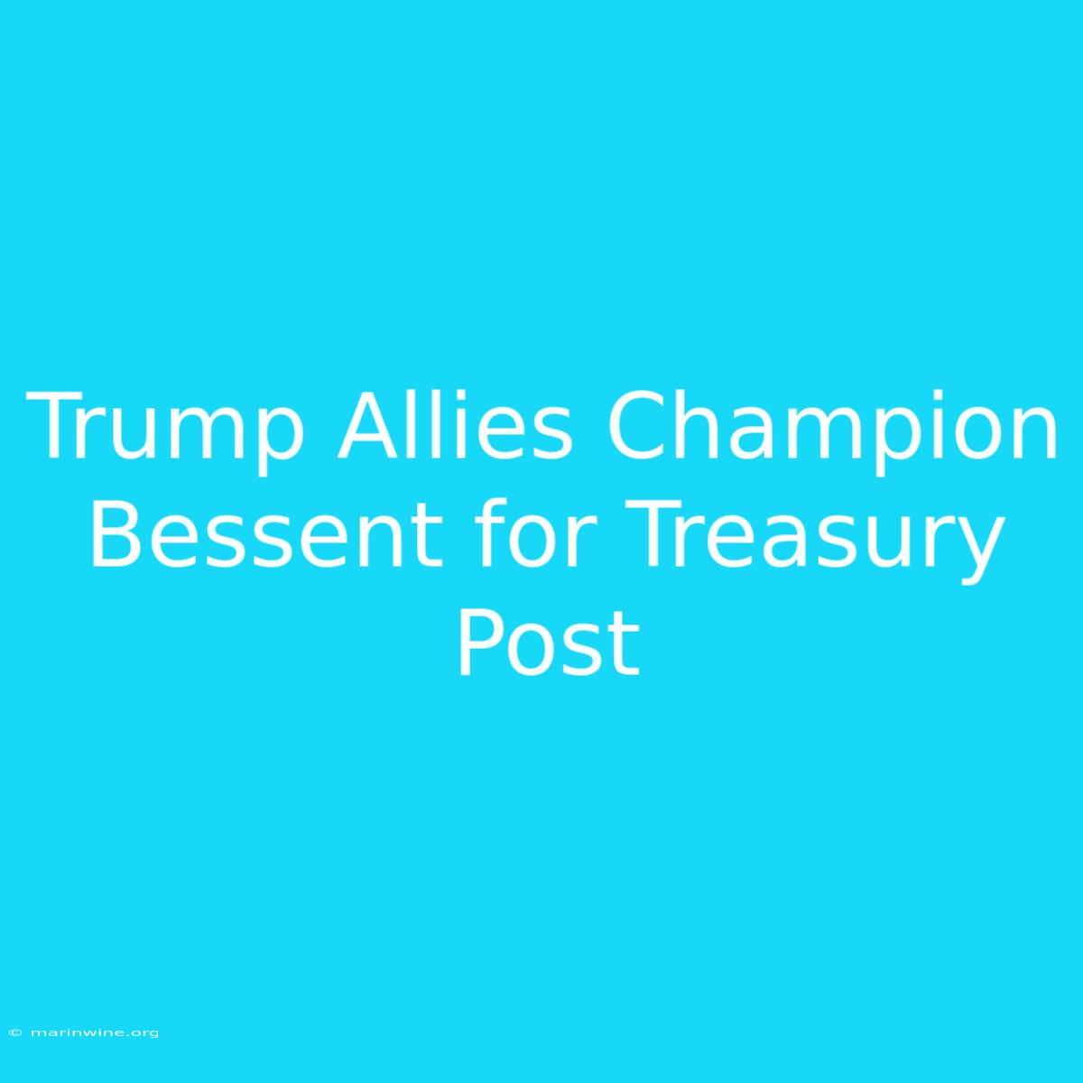 Trump Allies Champion Bessent For Treasury Post 