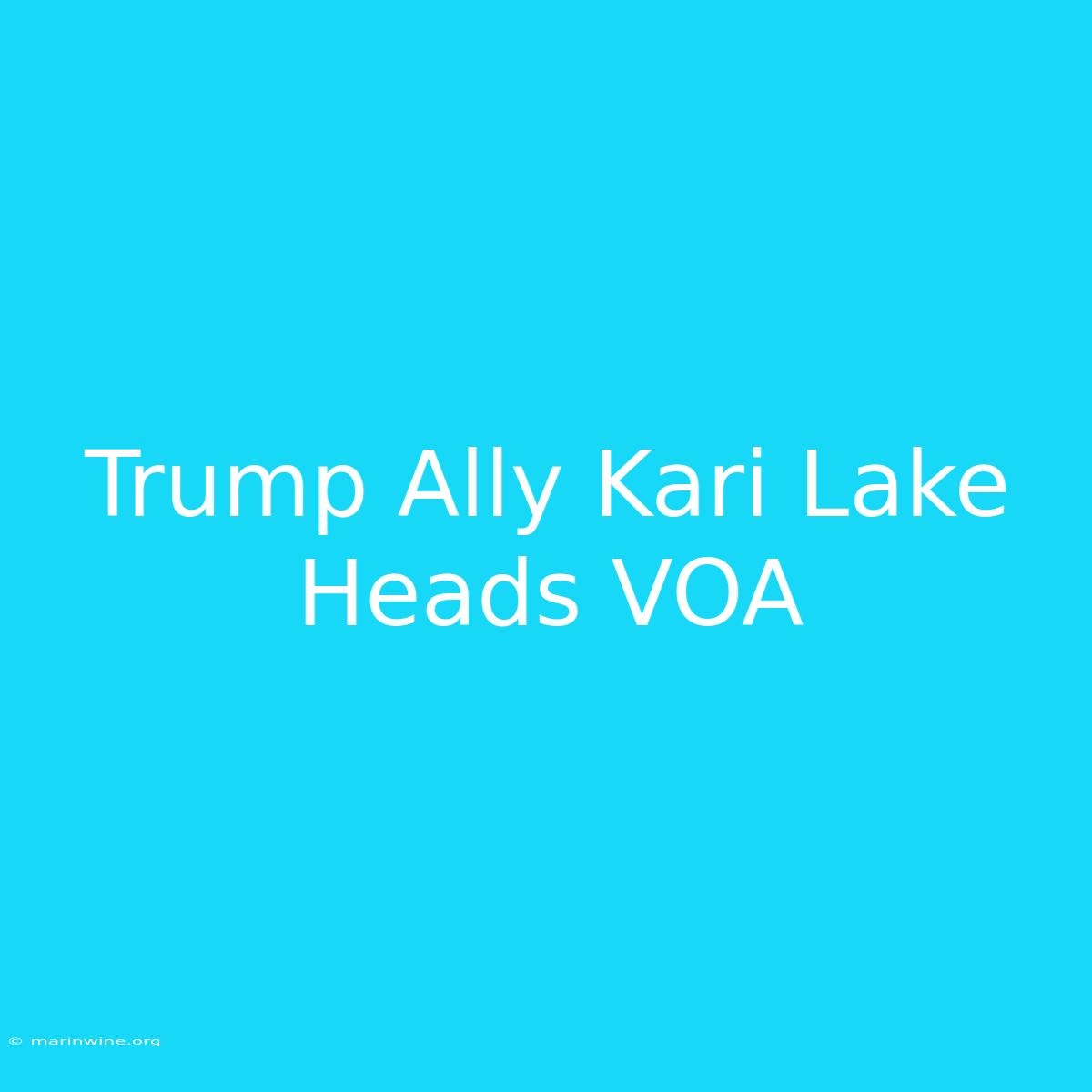 Trump Ally Kari Lake Heads VOA