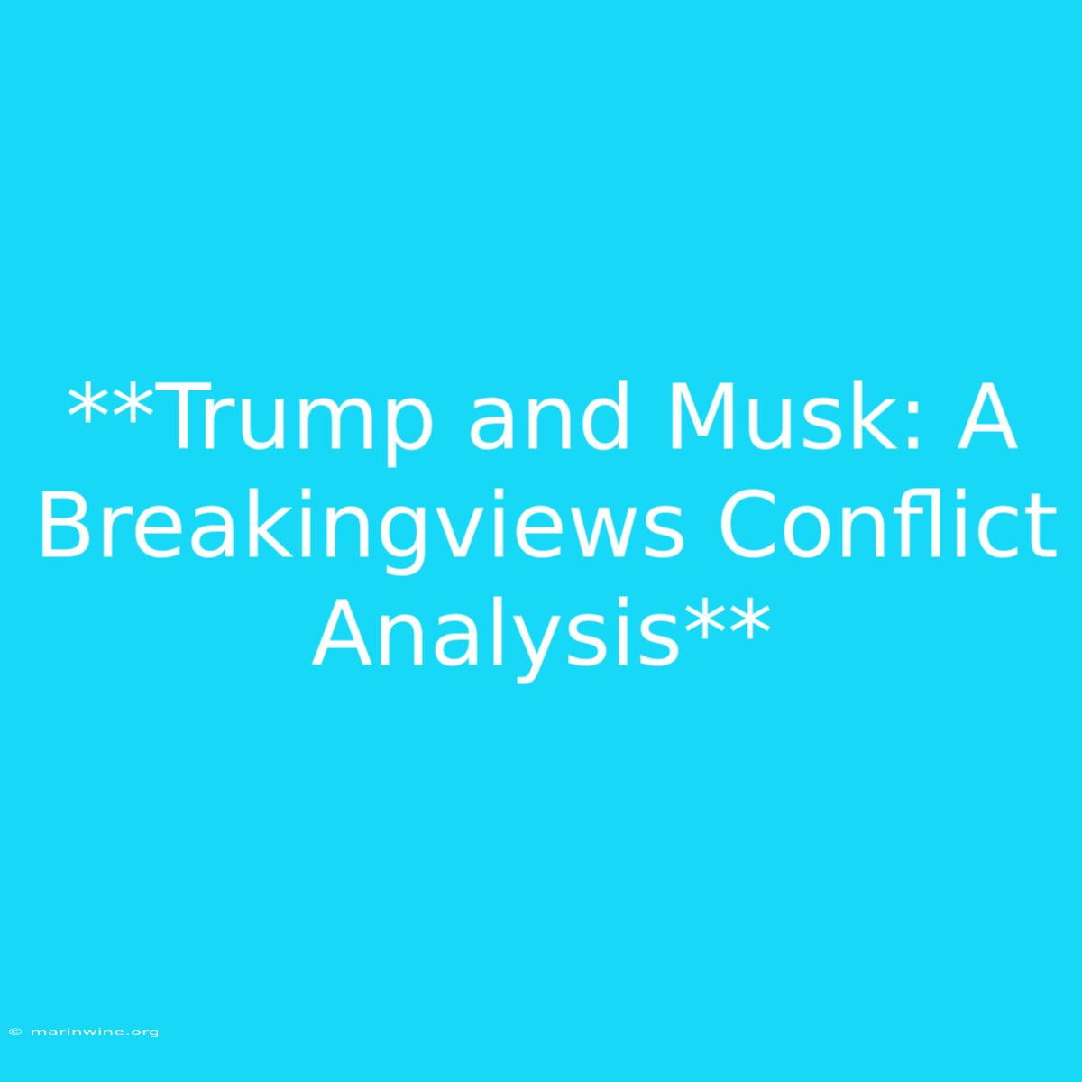 **Trump And Musk: A Breakingviews Conflict Analysis** 