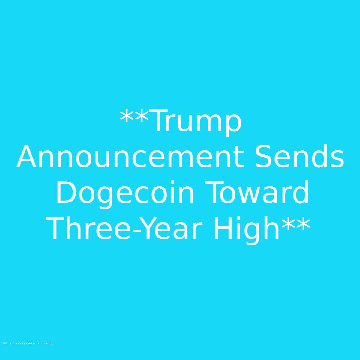 **Trump Announcement Sends Dogecoin Toward Three-Year High**