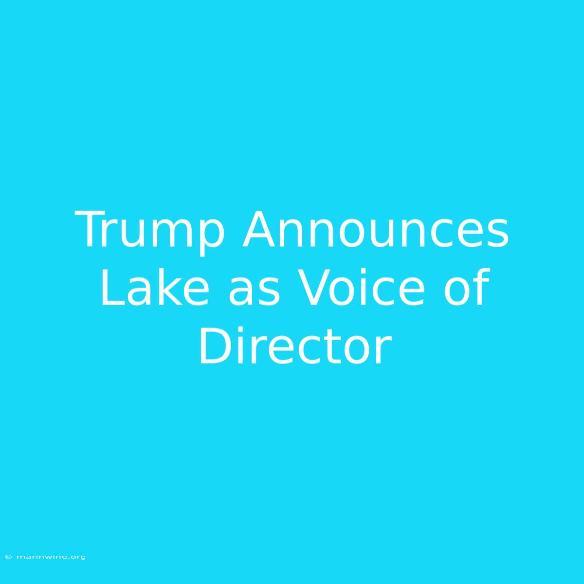 Trump Announces Lake As Voice Of Director