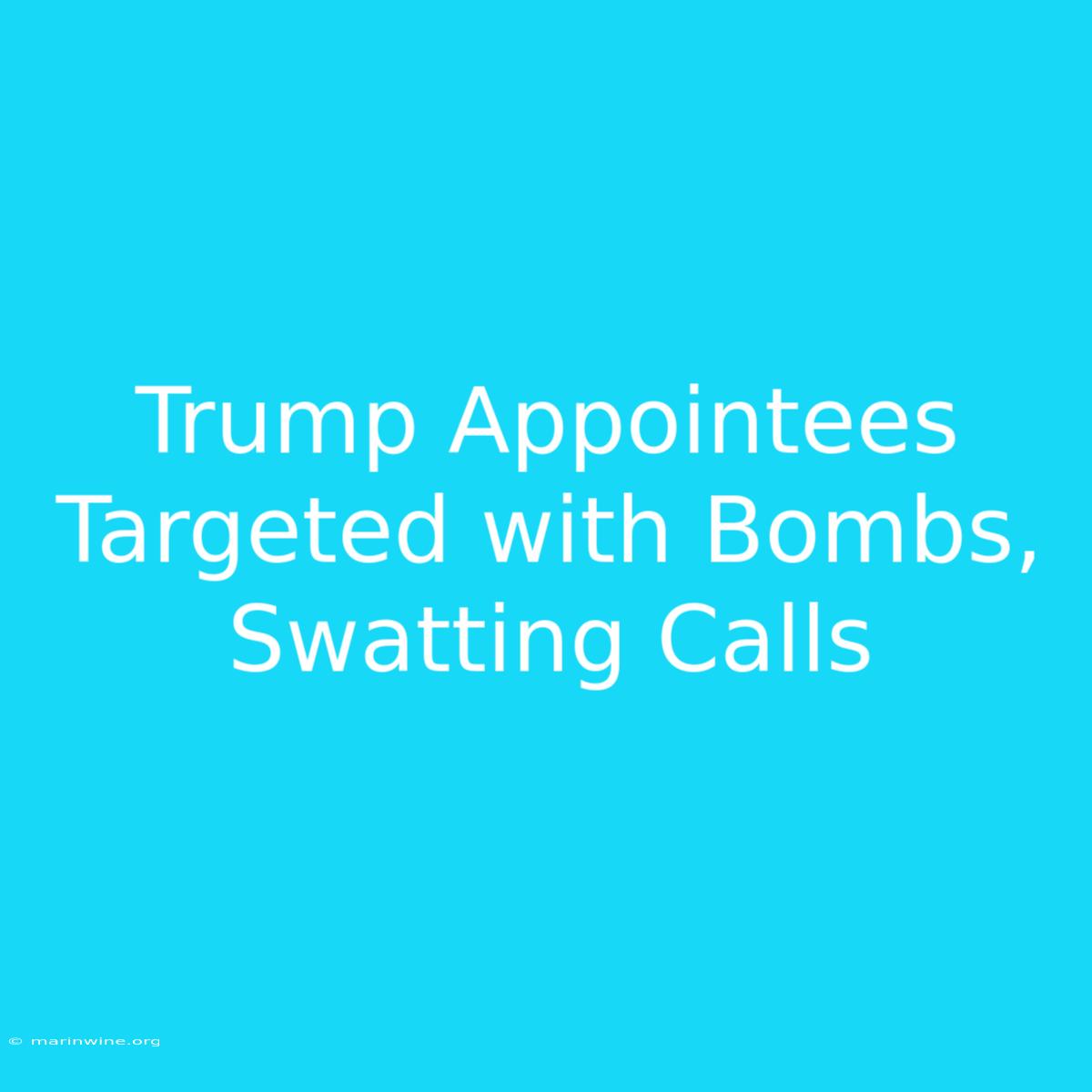 Trump Appointees Targeted With Bombs, Swatting Calls