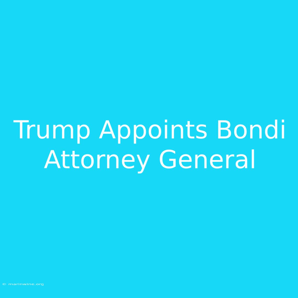 Trump Appoints Bondi Attorney General