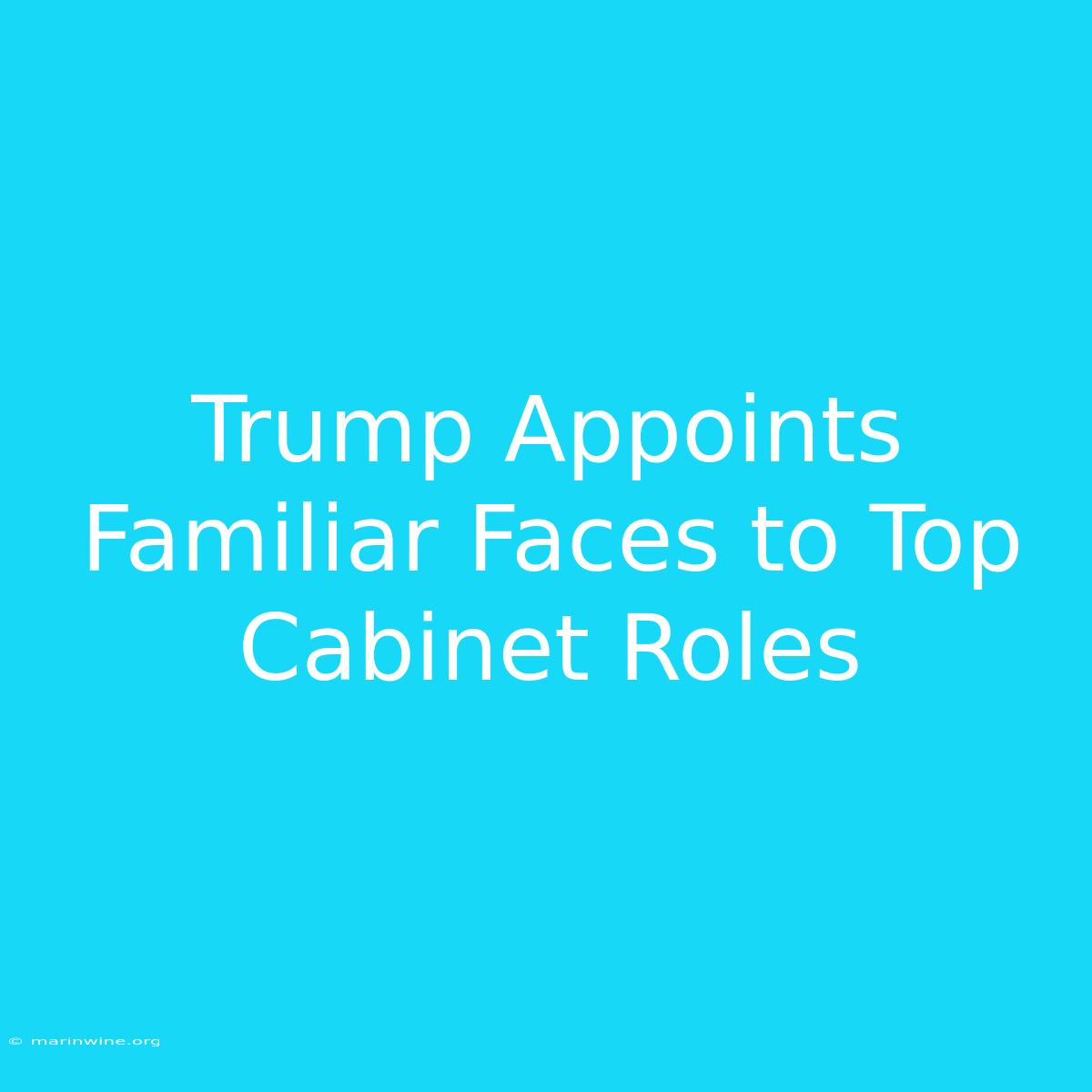 Trump Appoints Familiar Faces To Top Cabinet Roles