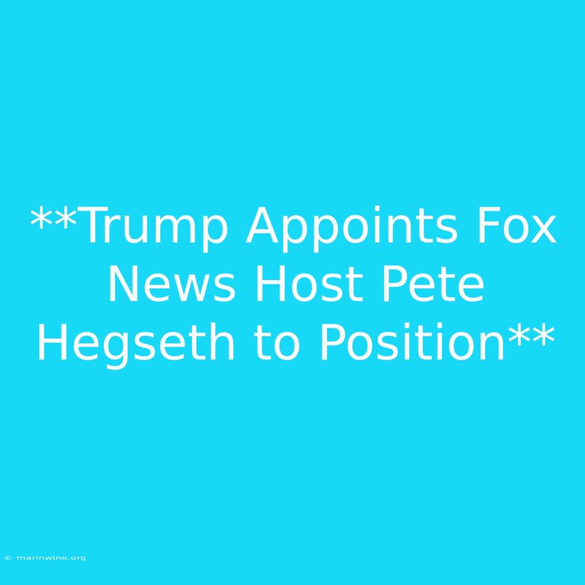 **Trump Appoints Fox News Host Pete Hegseth To Position** 