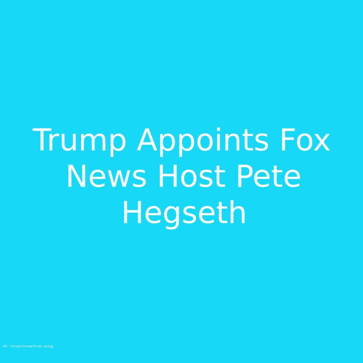 Trump Appoints Fox News Host Pete Hegseth