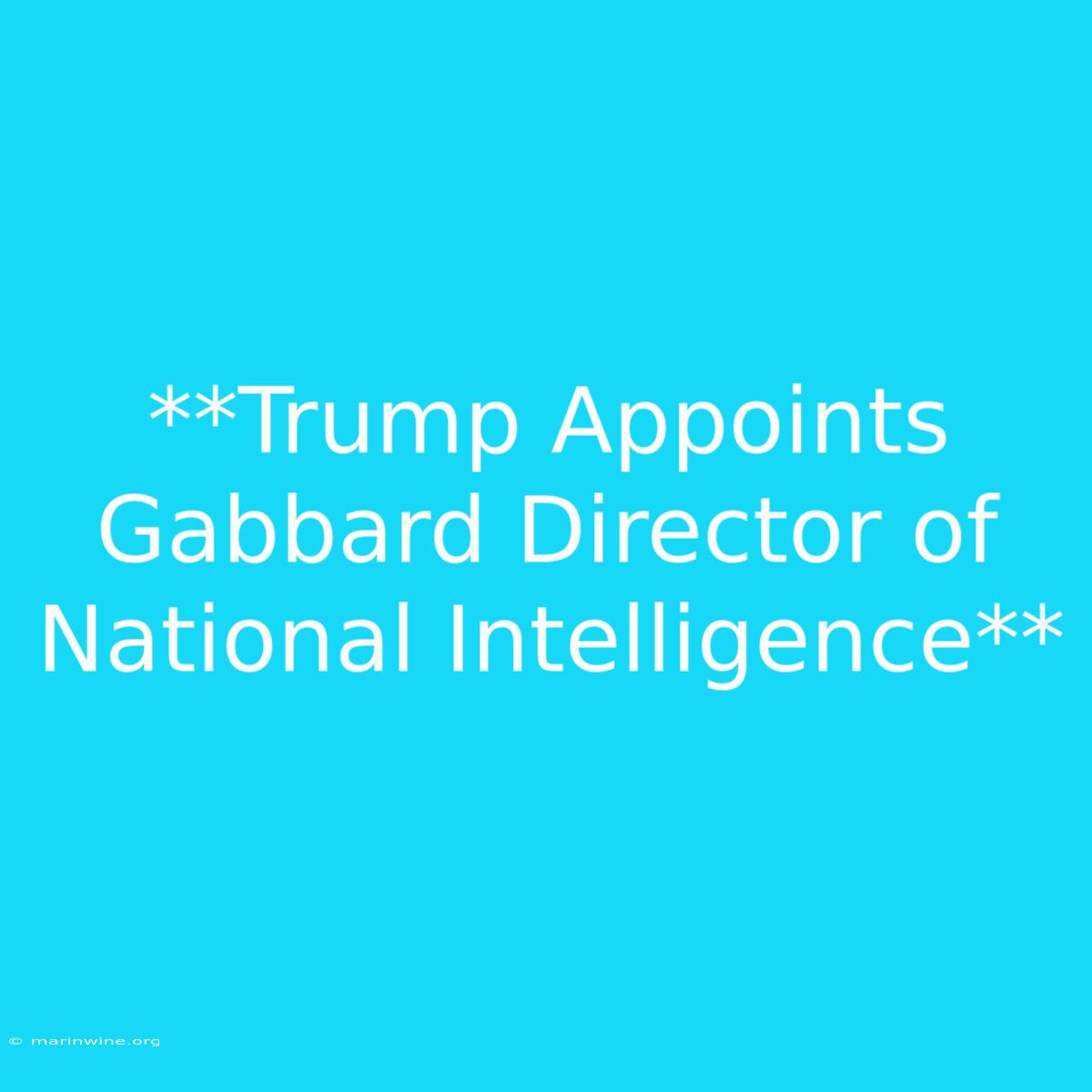 **Trump Appoints Gabbard Director Of National Intelligence**