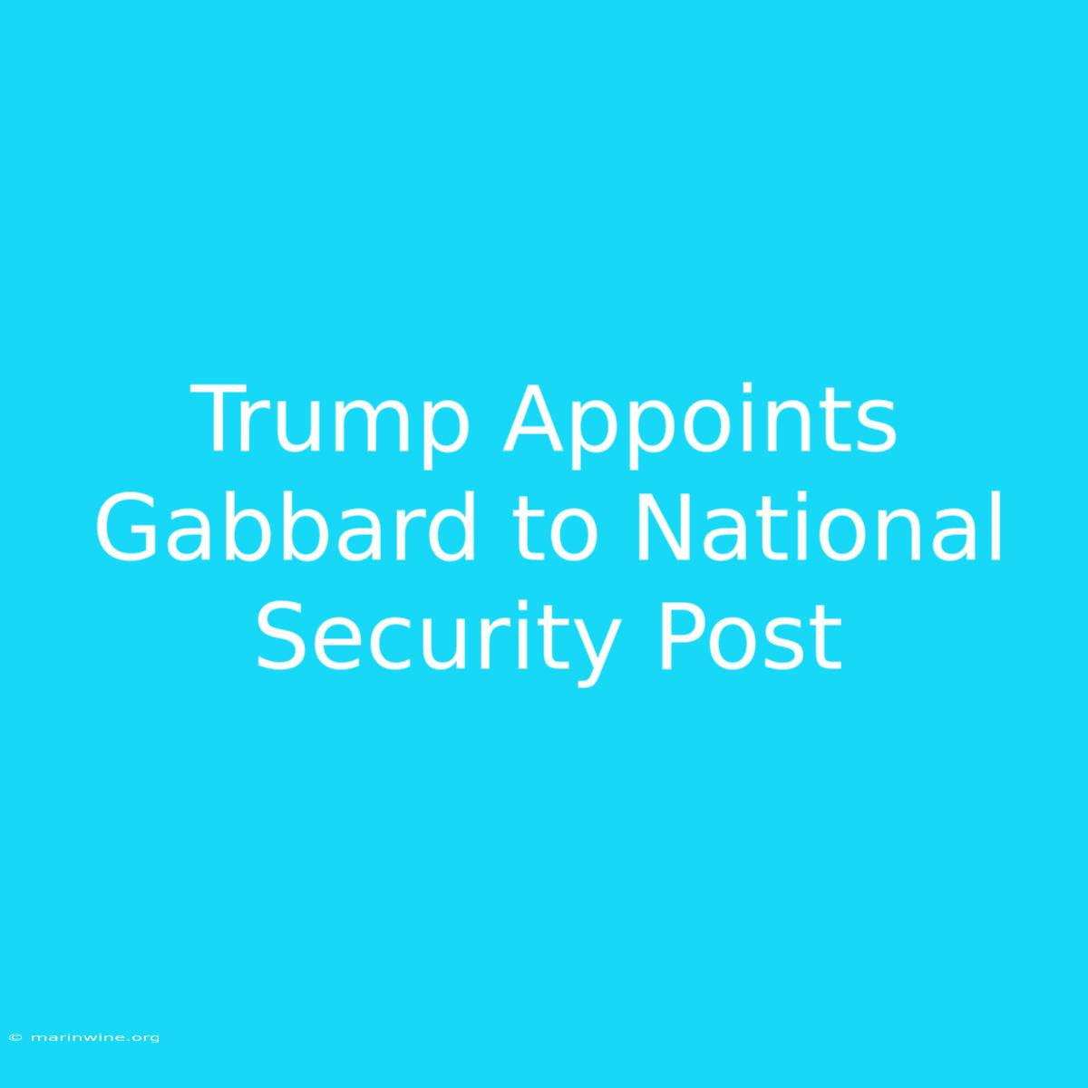 Trump Appoints Gabbard To National Security Post 