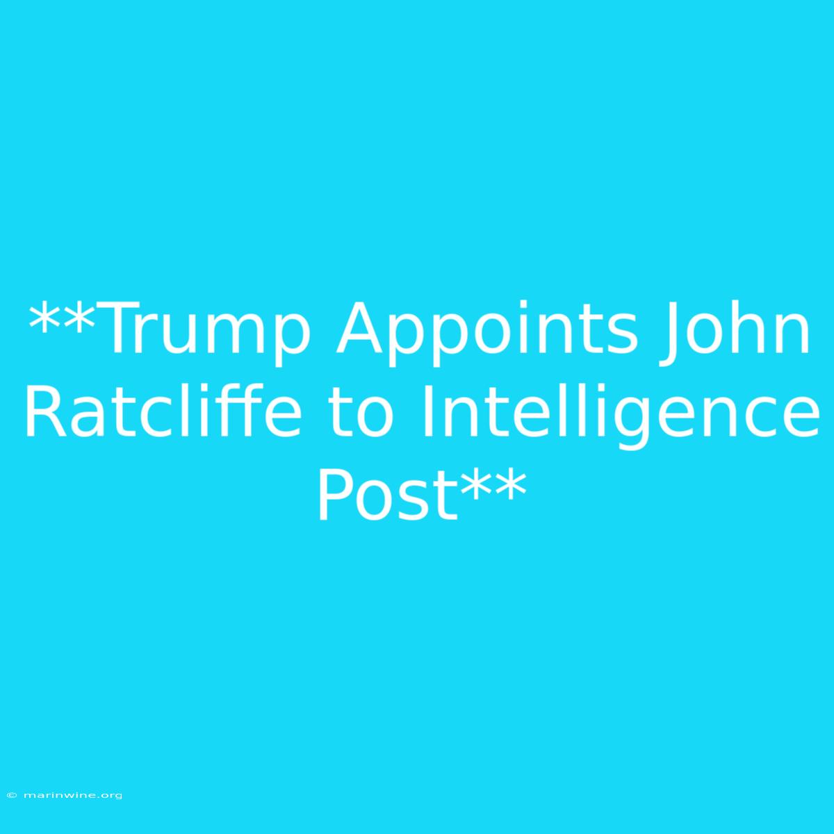 **Trump Appoints John Ratcliffe To Intelligence Post**