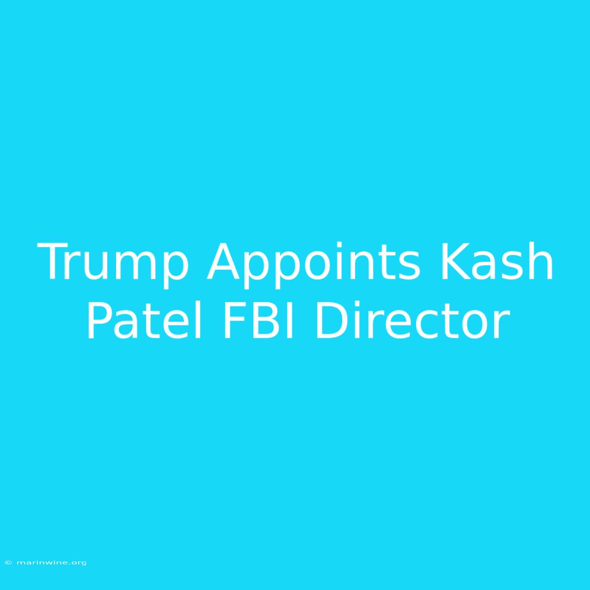 Trump Appoints Kash Patel FBI Director