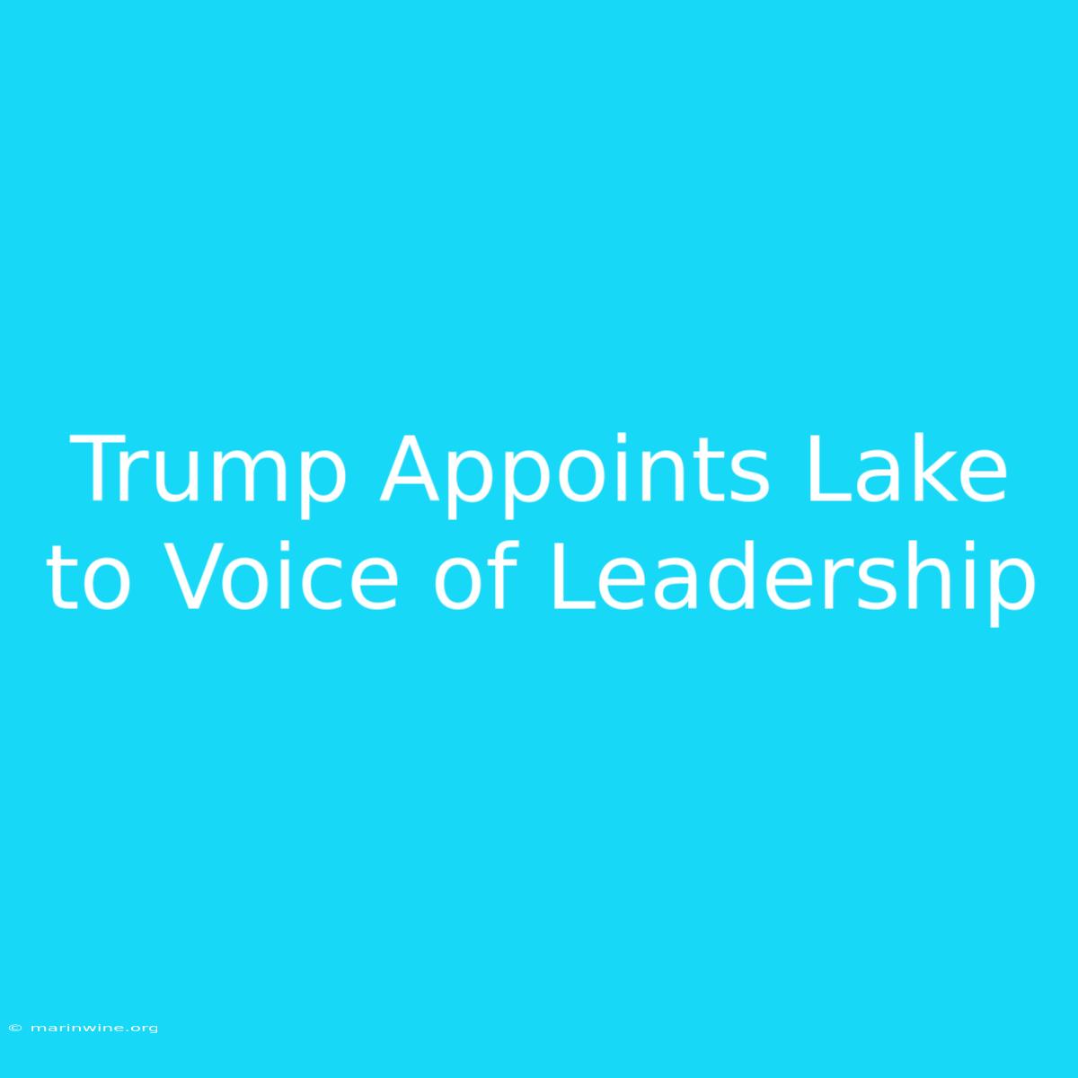 Trump Appoints Lake To Voice Of Leadership