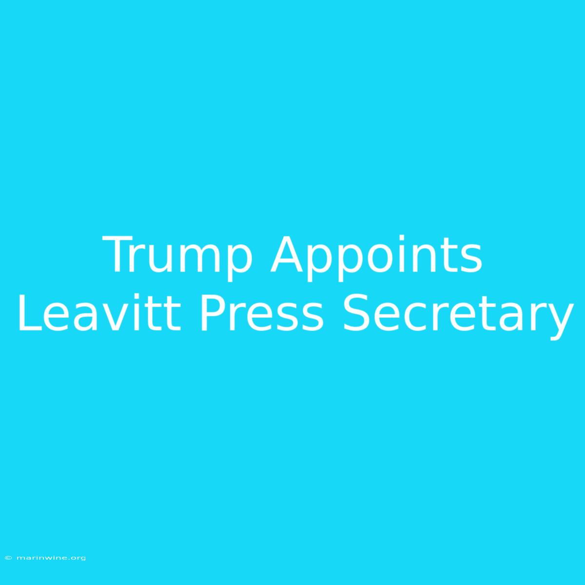 Trump Appoints Leavitt Press Secretary