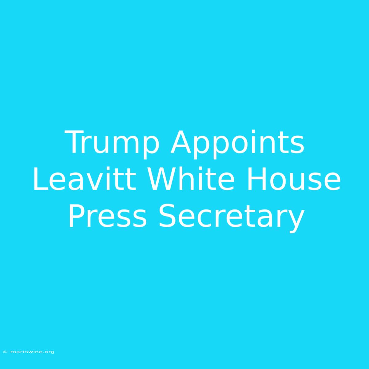 Trump Appoints Leavitt White House Press Secretary