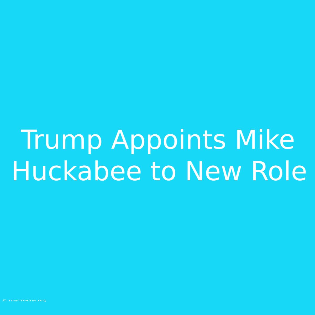 Trump Appoints Mike Huckabee To New Role 