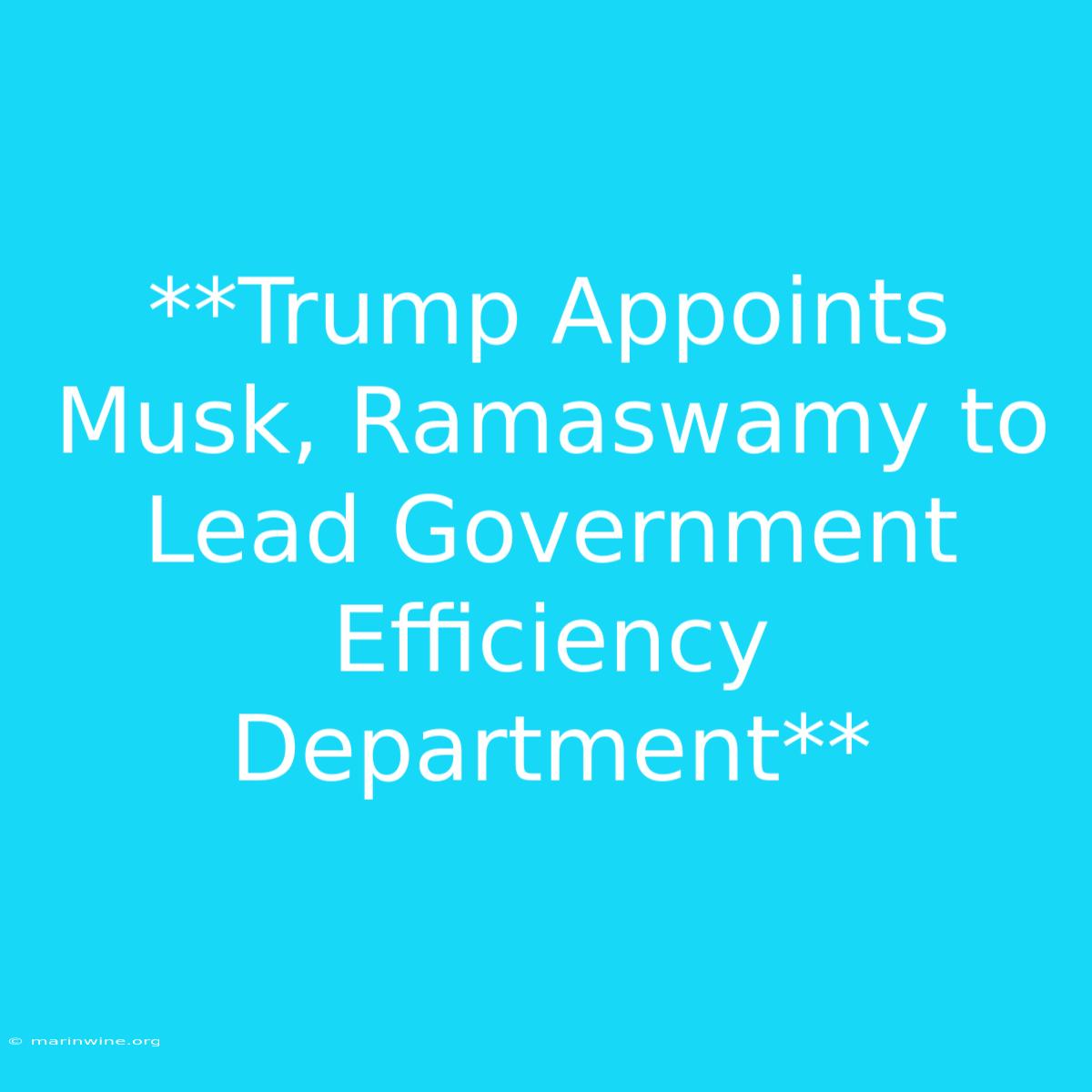 **Trump Appoints Musk, Ramaswamy To Lead Government Efficiency Department** 