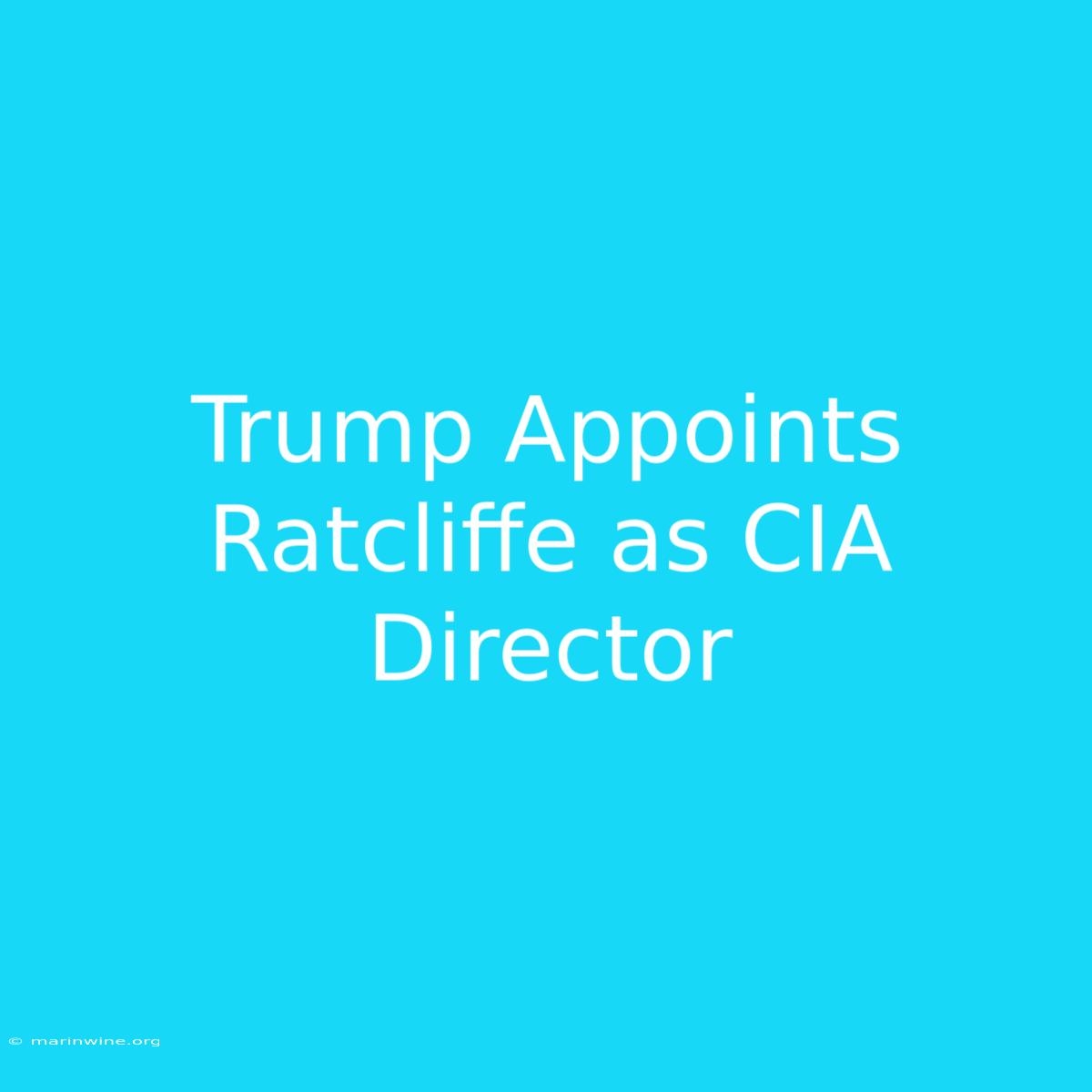 Trump Appoints Ratcliffe As CIA Director