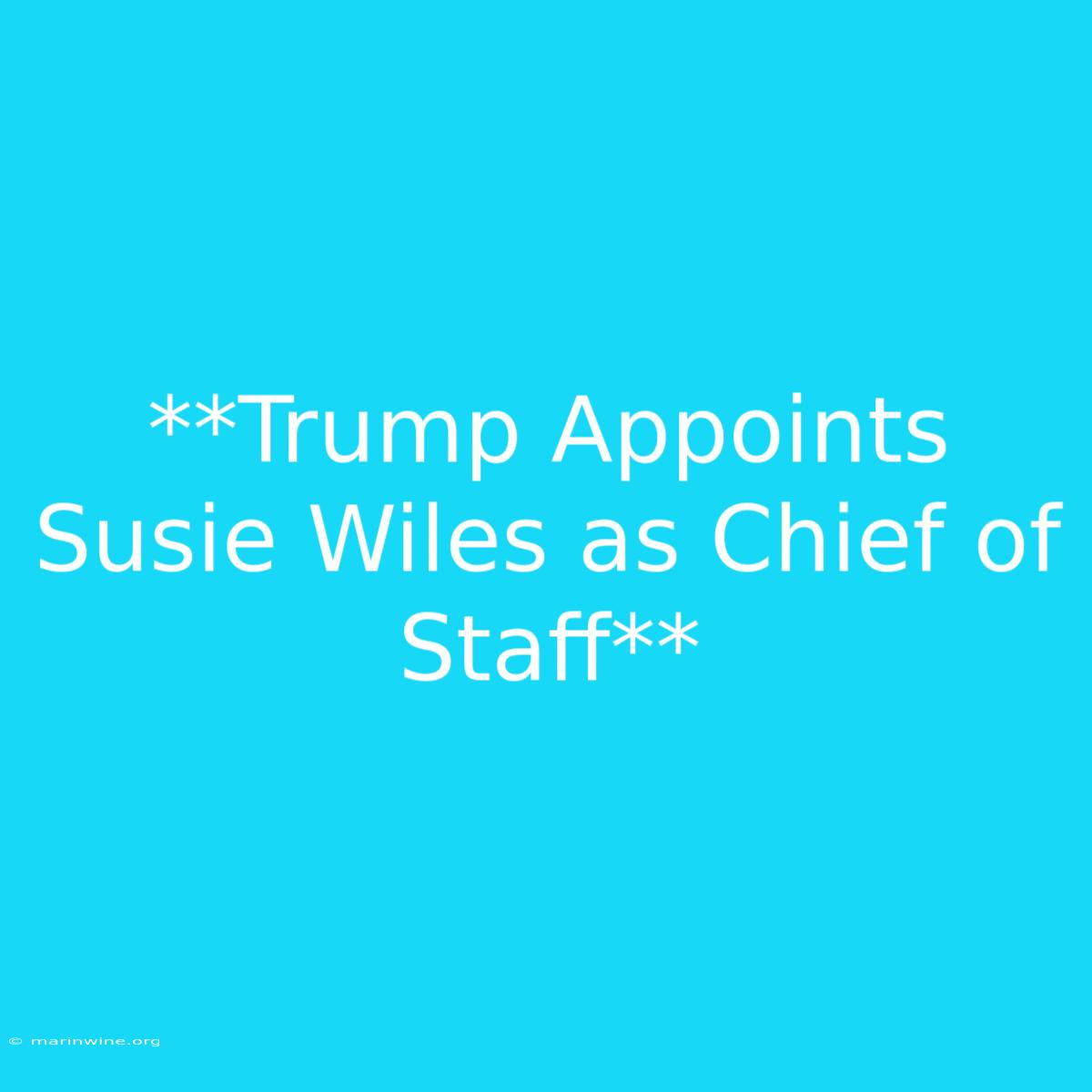 **Trump Appoints Susie Wiles As Chief Of Staff**