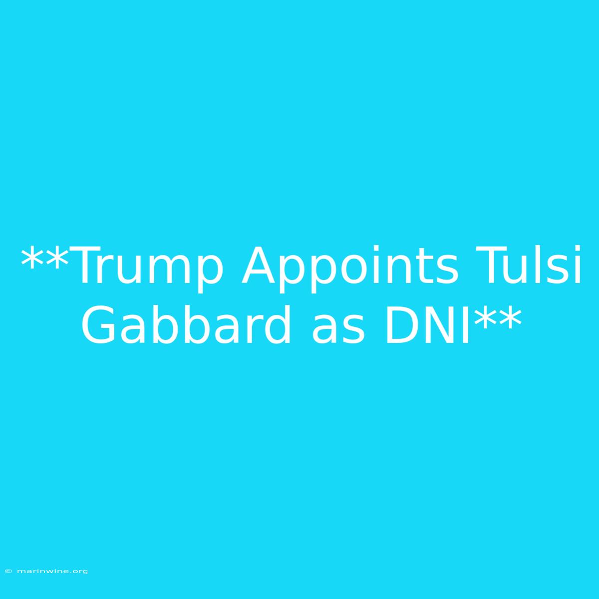 **Trump Appoints Tulsi Gabbard As DNI** 