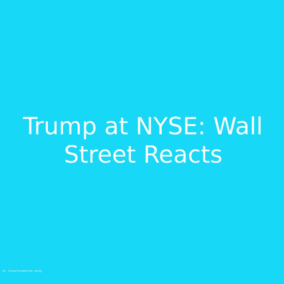 Trump At NYSE: Wall Street Reacts