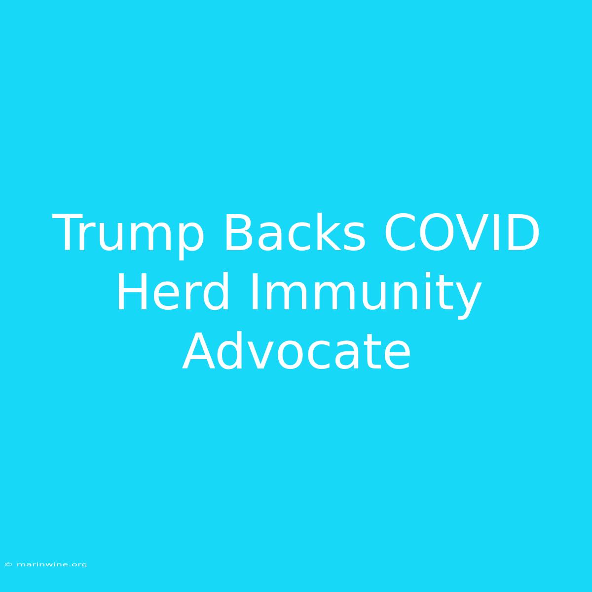 Trump Backs COVID Herd Immunity Advocate