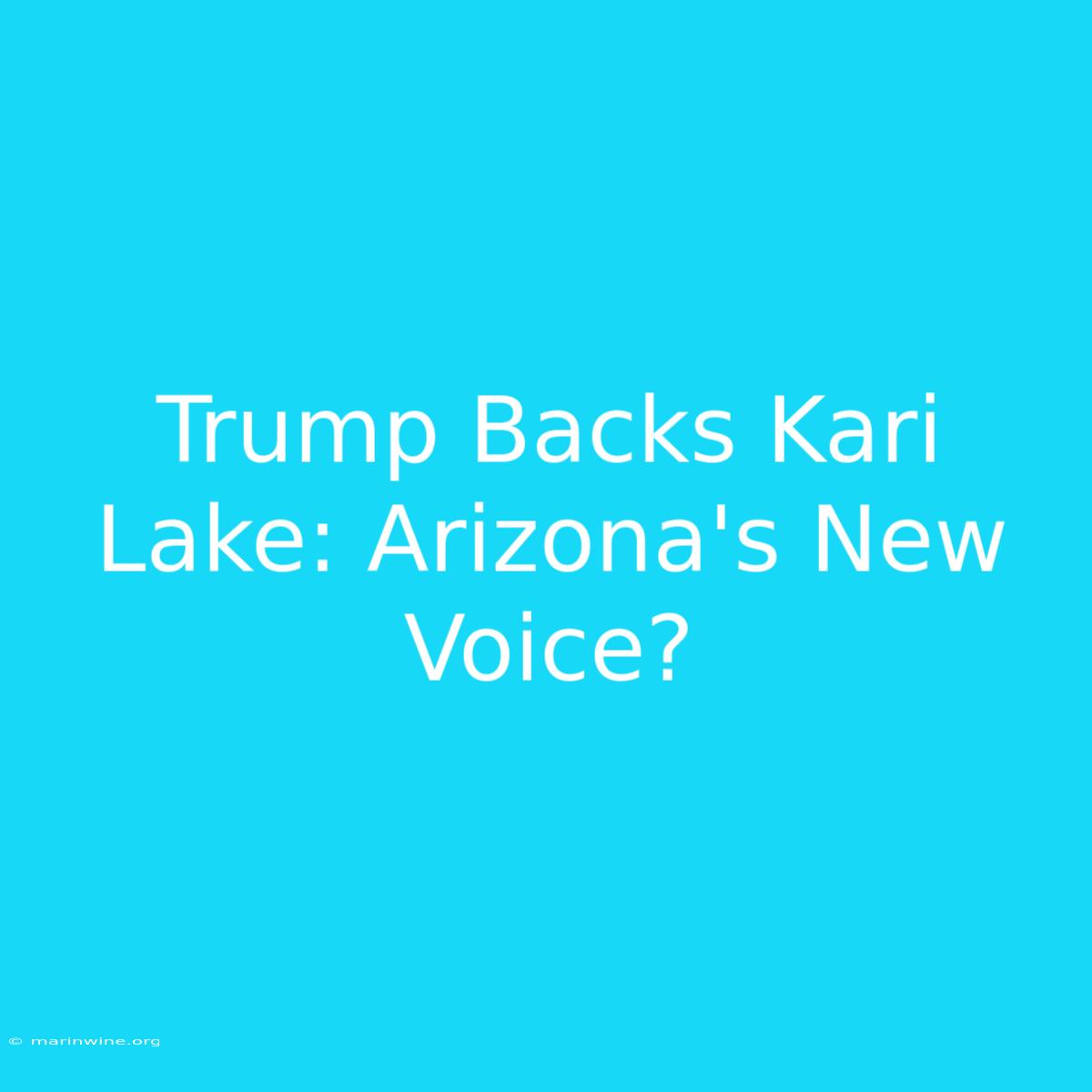 Trump Backs Kari Lake: Arizona's New Voice?