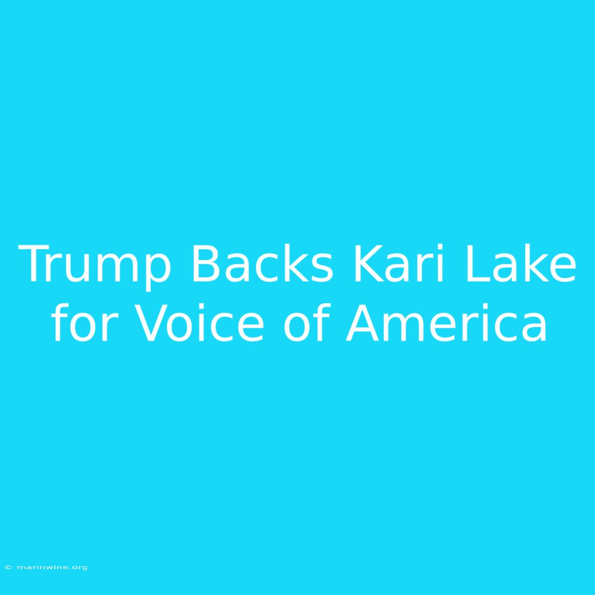 Trump Backs Kari Lake For Voice Of America