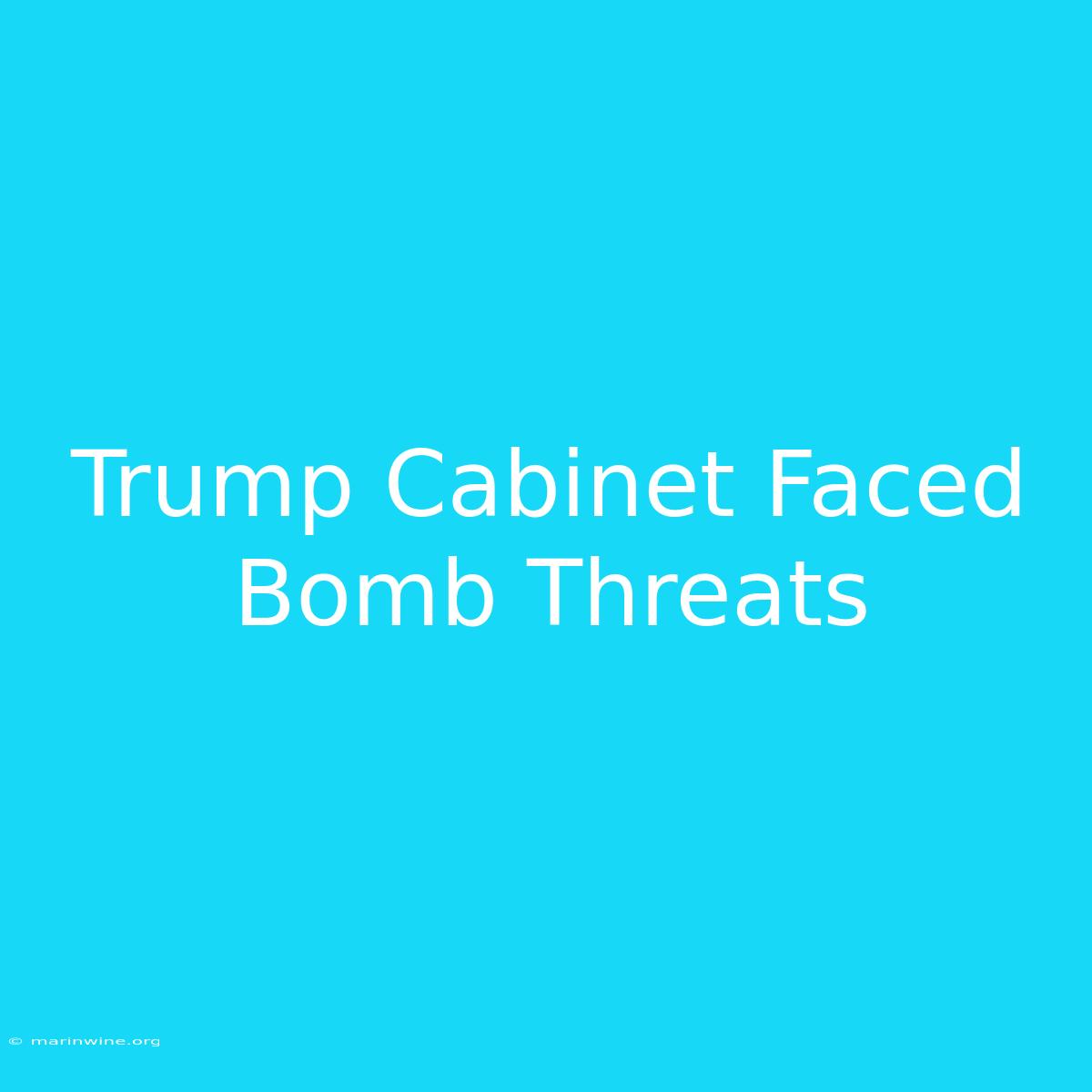 Trump Cabinet Faced Bomb Threats