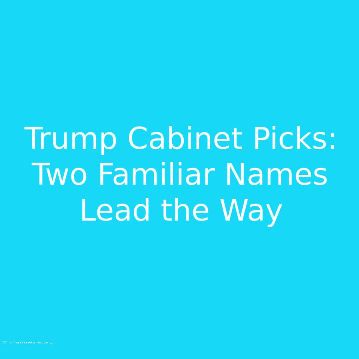 Trump Cabinet Picks: Two Familiar Names Lead The Way