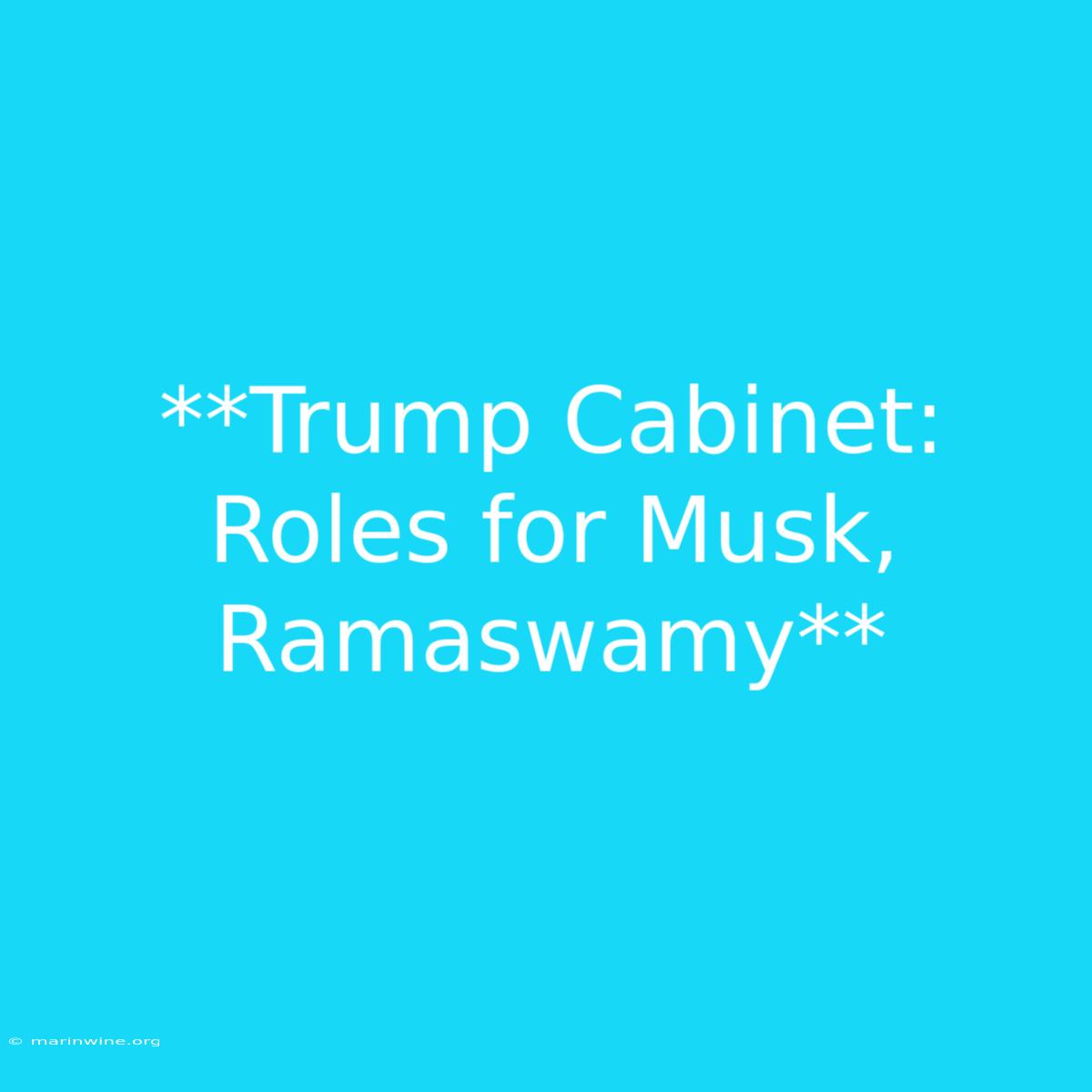 **Trump Cabinet: Roles For Musk, Ramaswamy**