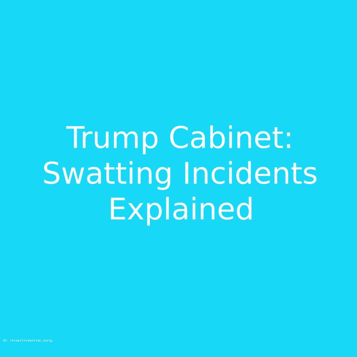 Trump Cabinet: Swatting Incidents Explained