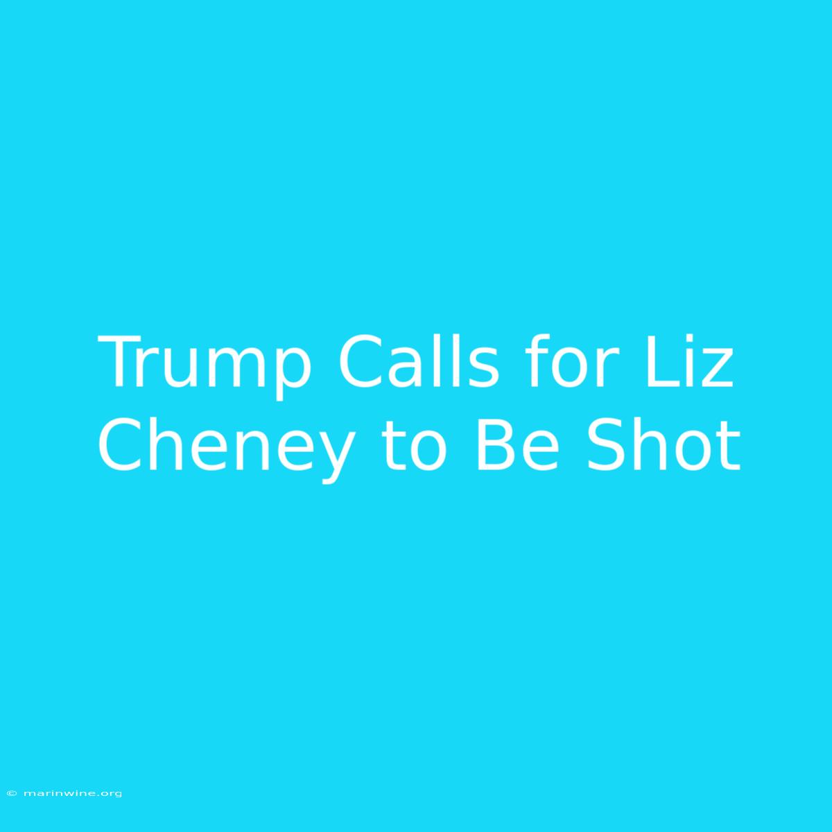 Trump Calls For Liz Cheney To Be Shot