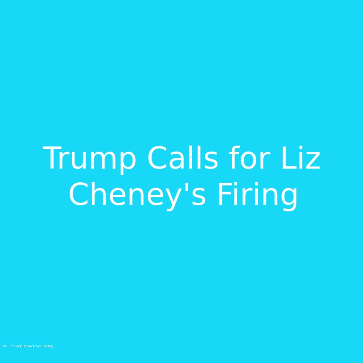 Trump Calls For Liz Cheney's Firing