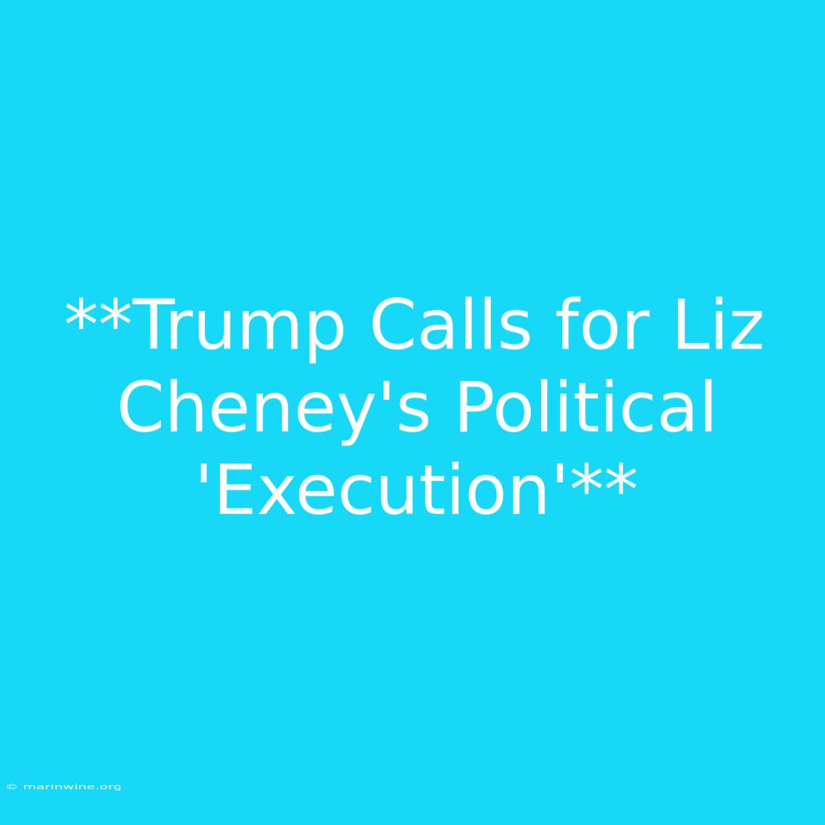 **Trump Calls For Liz Cheney's Political 'Execution'**