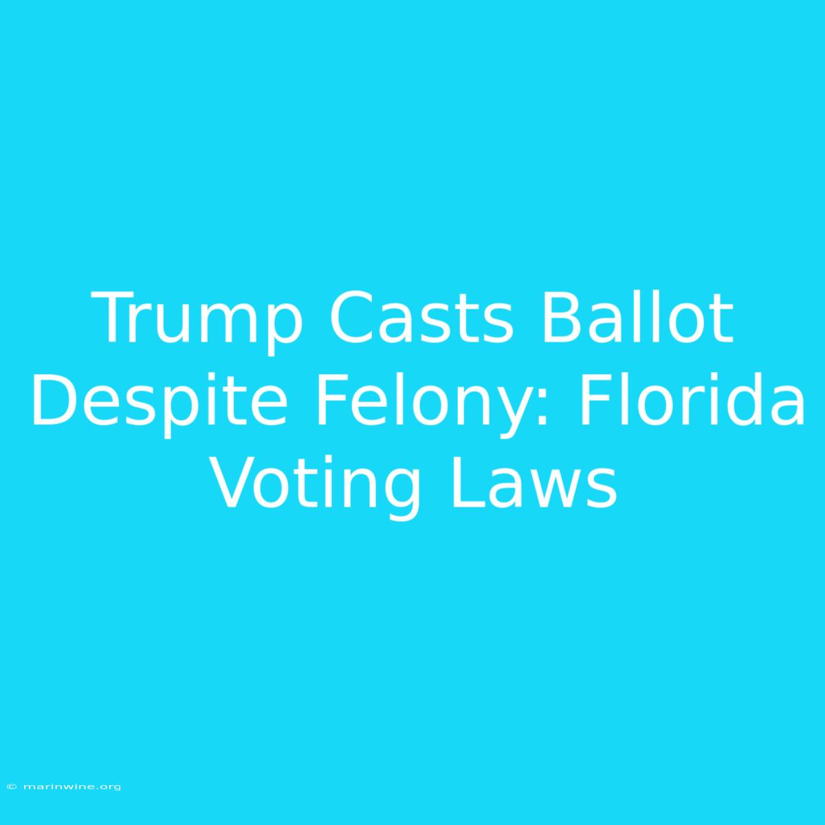 Trump Casts Ballot Despite Felony: Florida Voting Laws