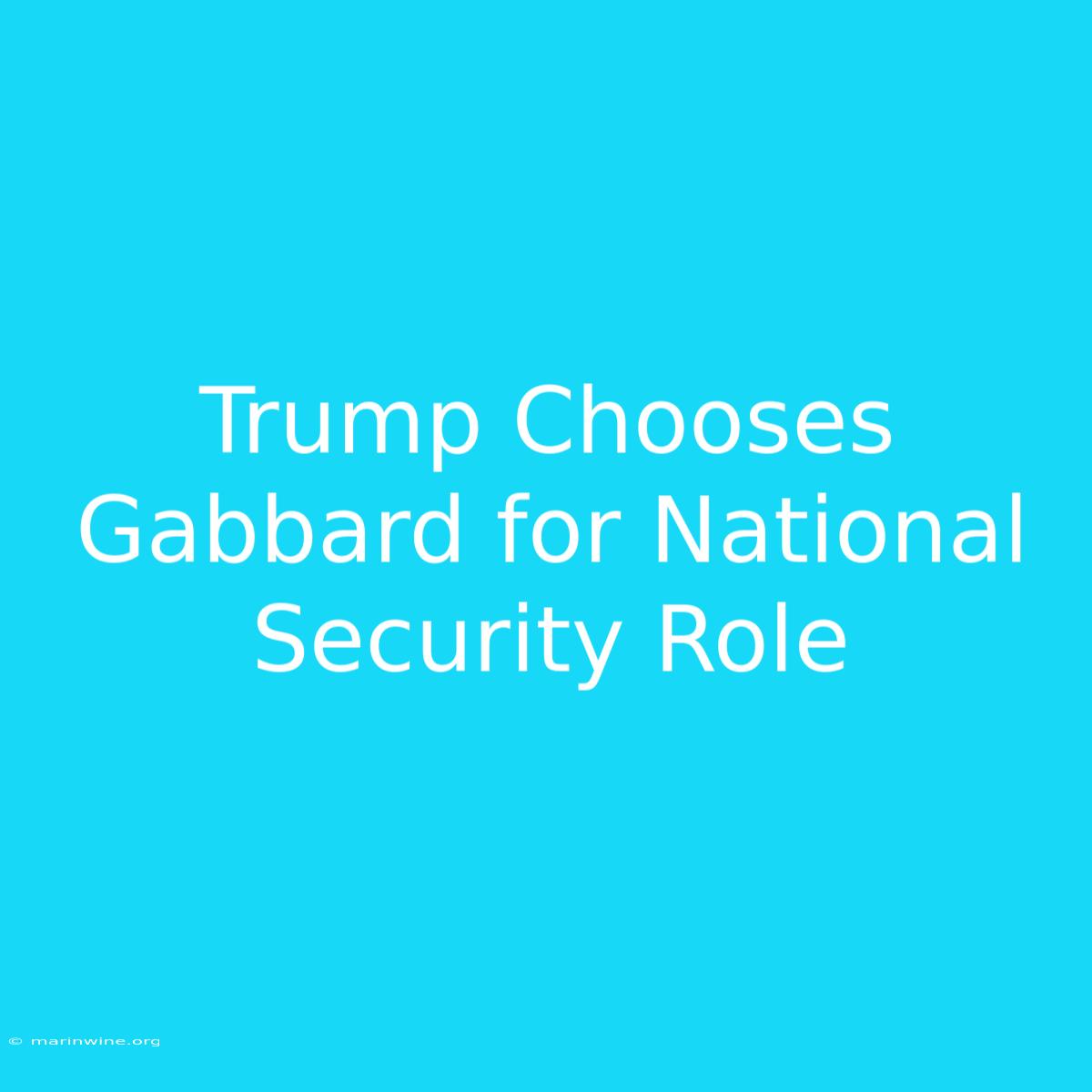 Trump Chooses Gabbard For National Security Role