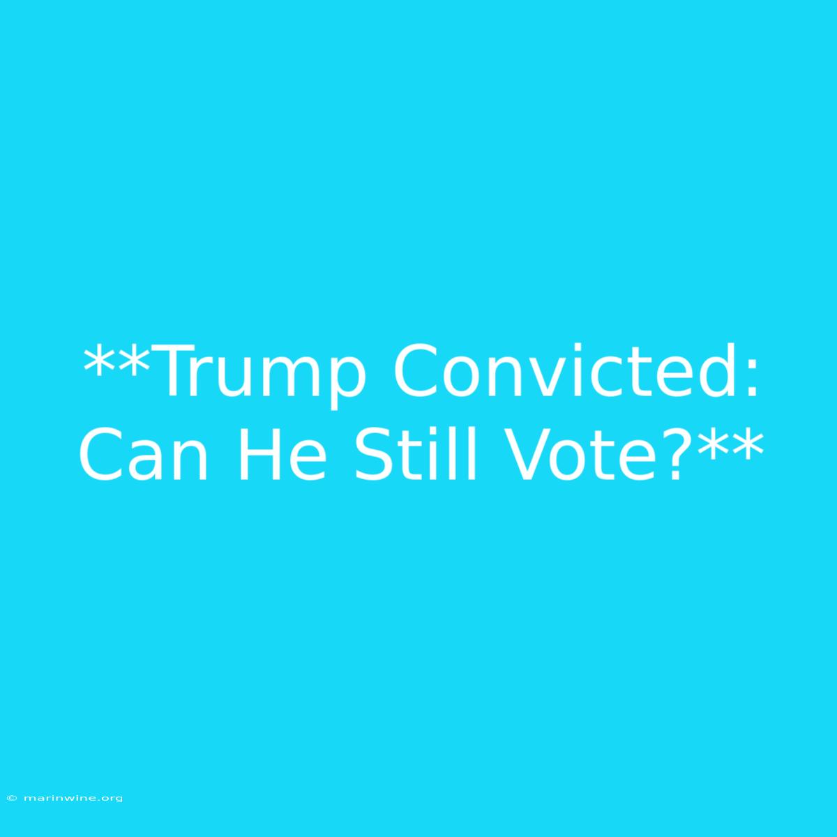 **Trump Convicted: Can He Still Vote?** 