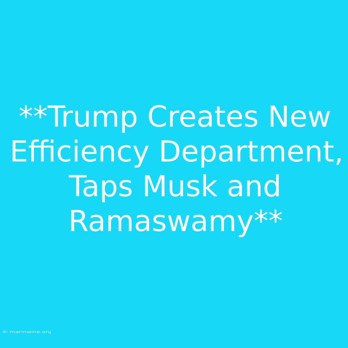 **Trump Creates New Efficiency Department, Taps Musk And Ramaswamy** 