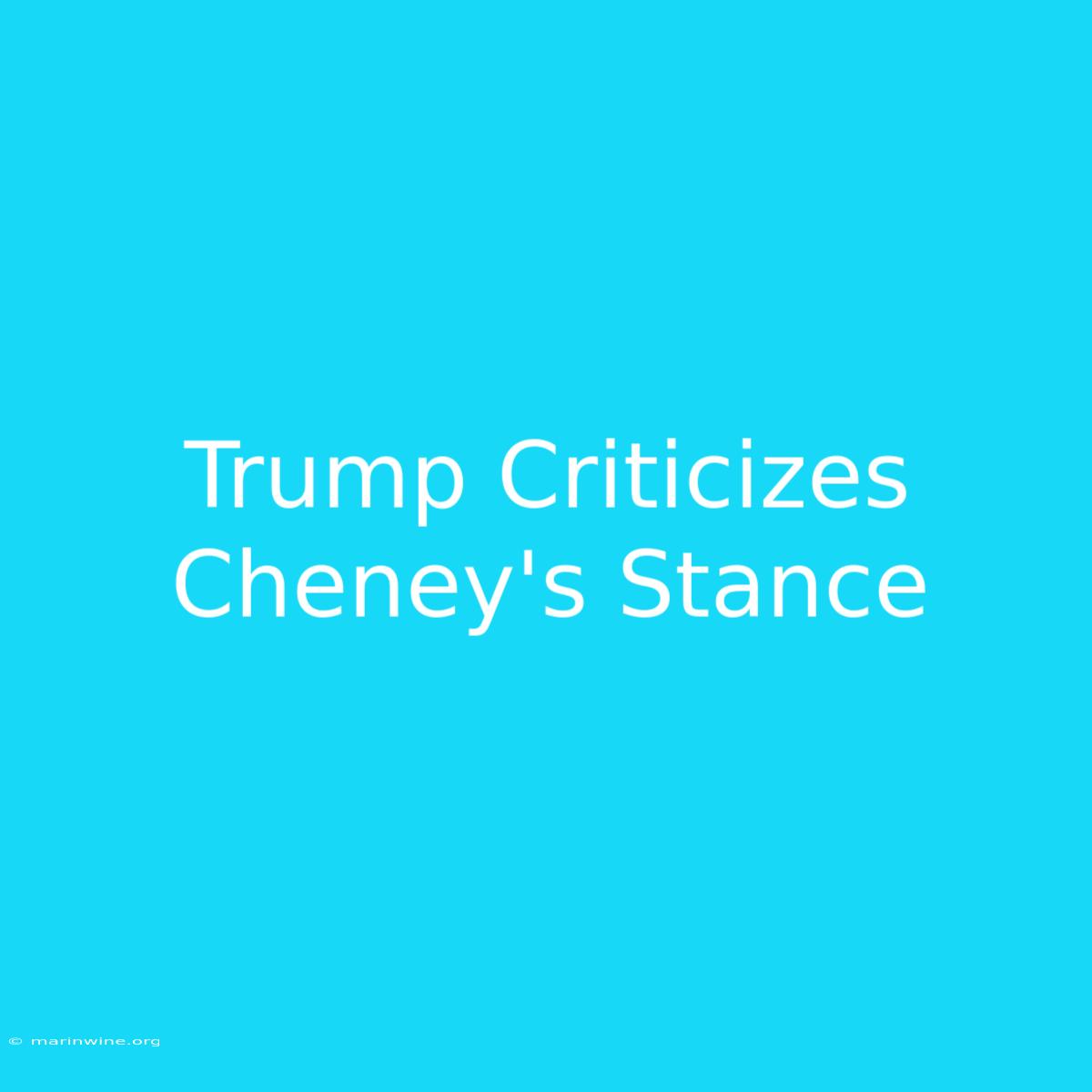 Trump Criticizes Cheney's Stance 