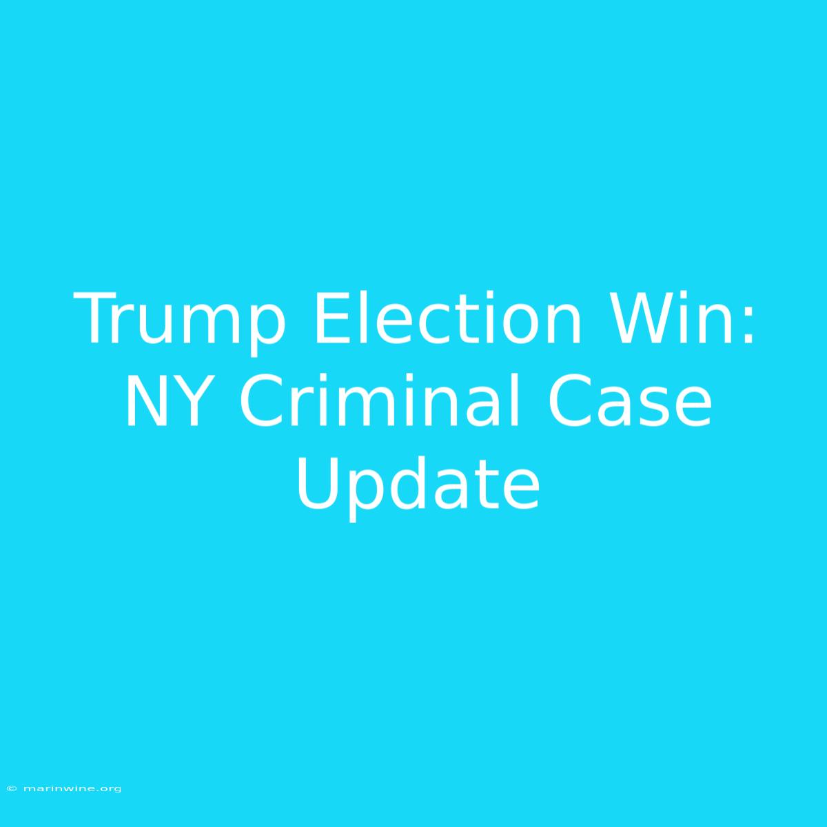 Trump Election Win: NY Criminal Case Update