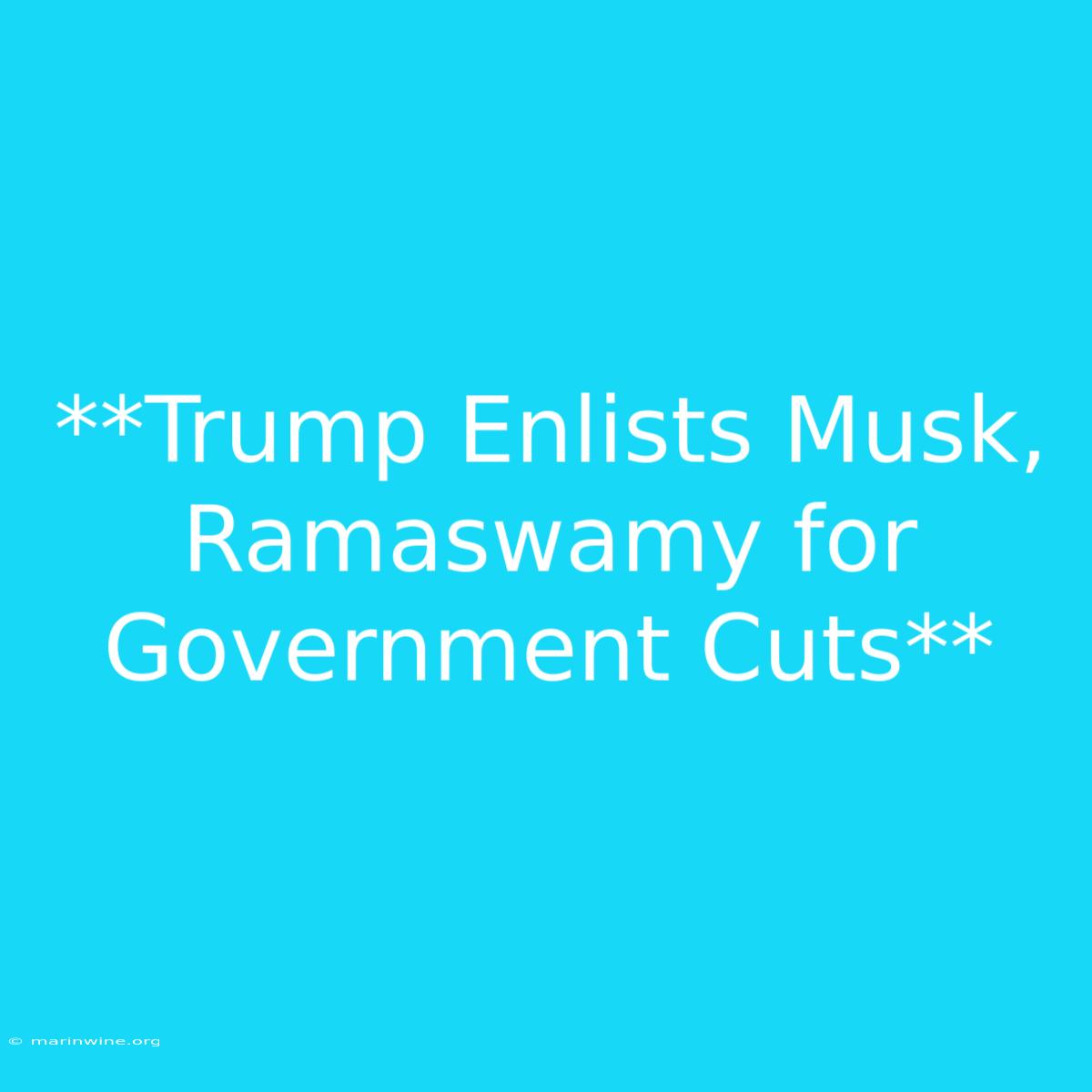 **Trump Enlists Musk, Ramaswamy For Government Cuts**