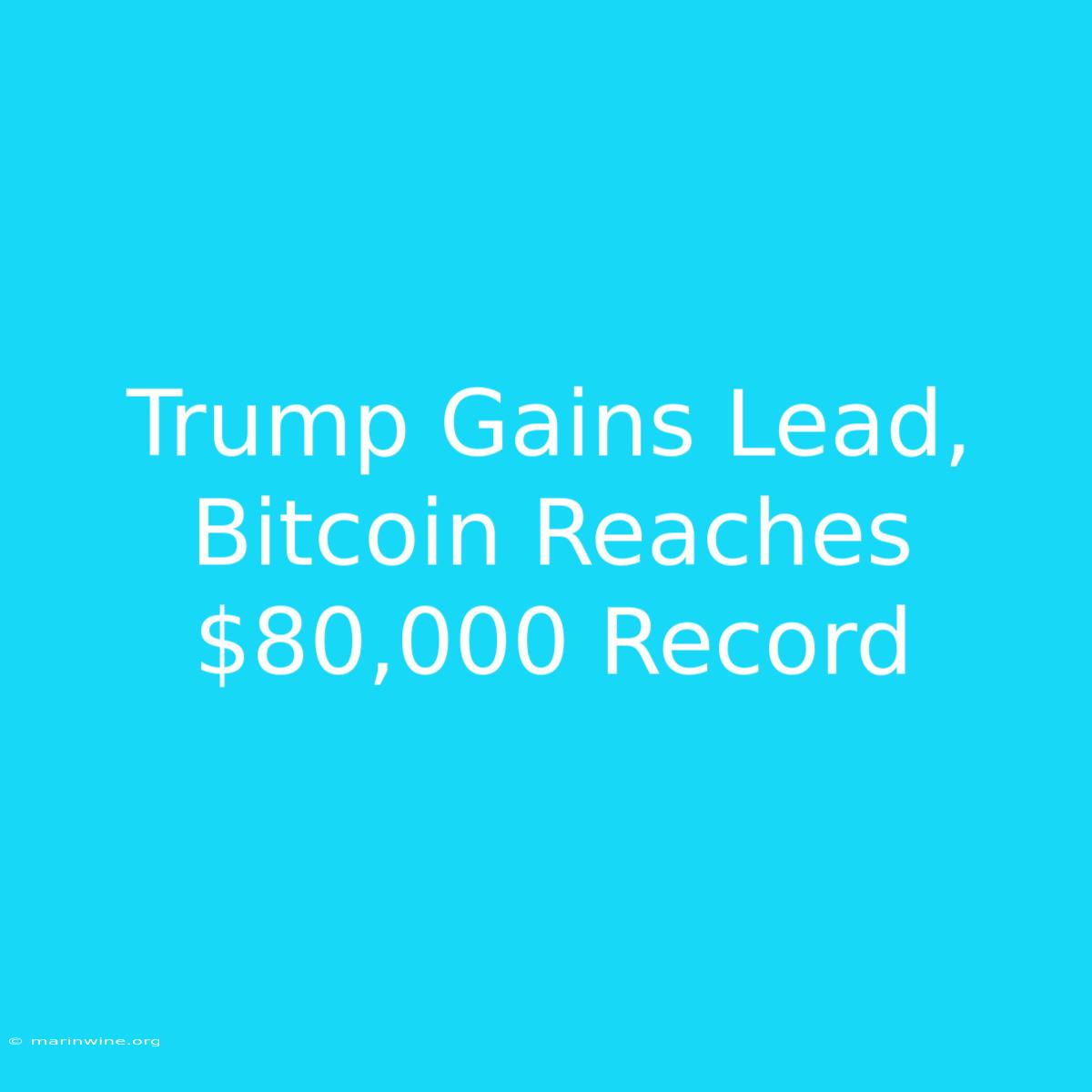 Trump Gains Lead, Bitcoin Reaches $80,000 Record 