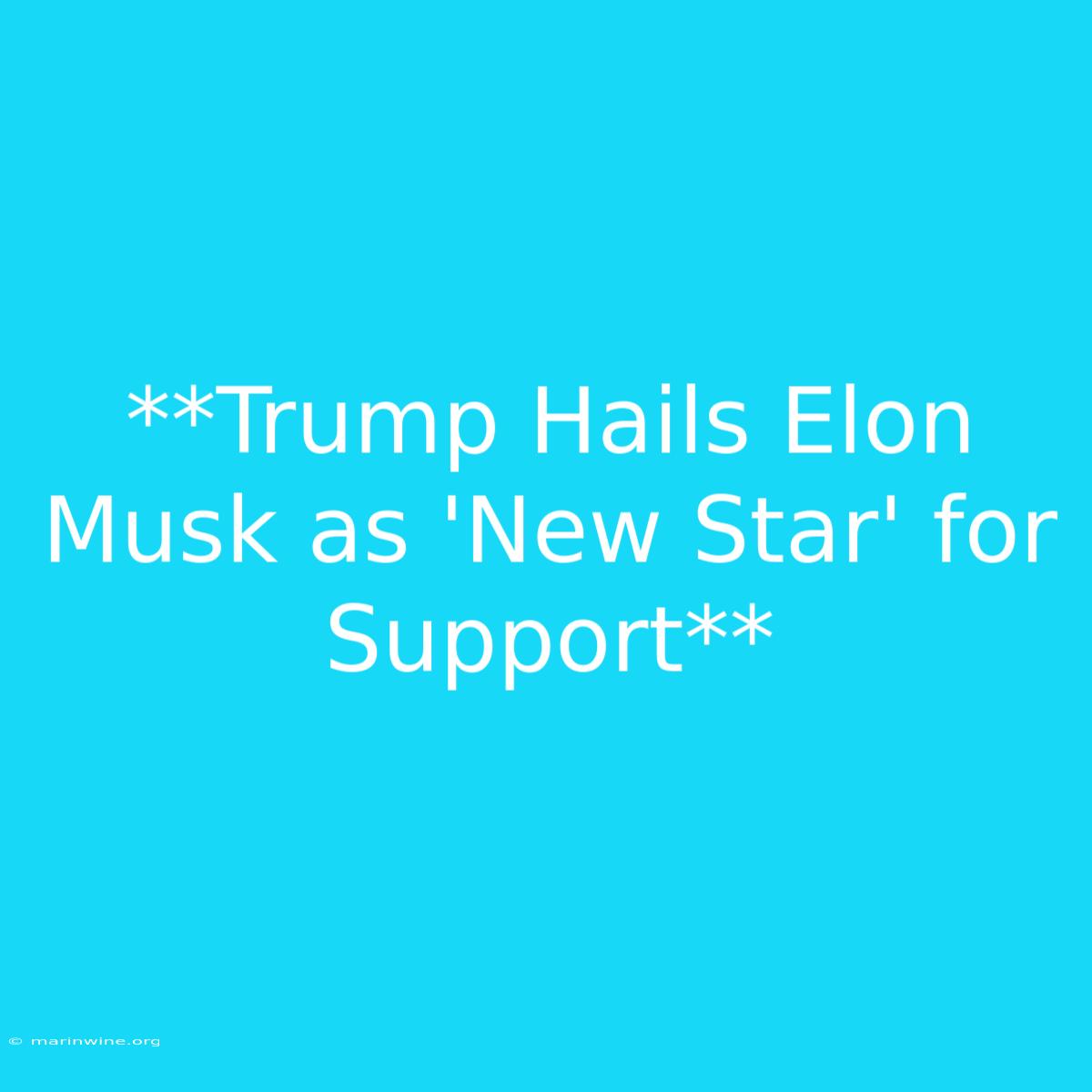 **Trump Hails Elon Musk As 'New Star' For Support** 