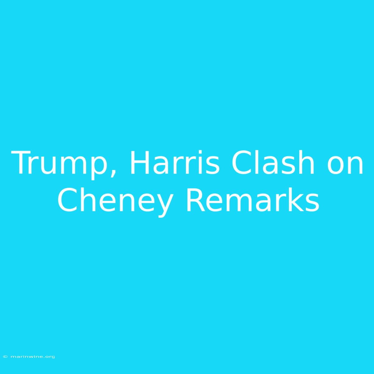 Trump, Harris Clash On Cheney Remarks