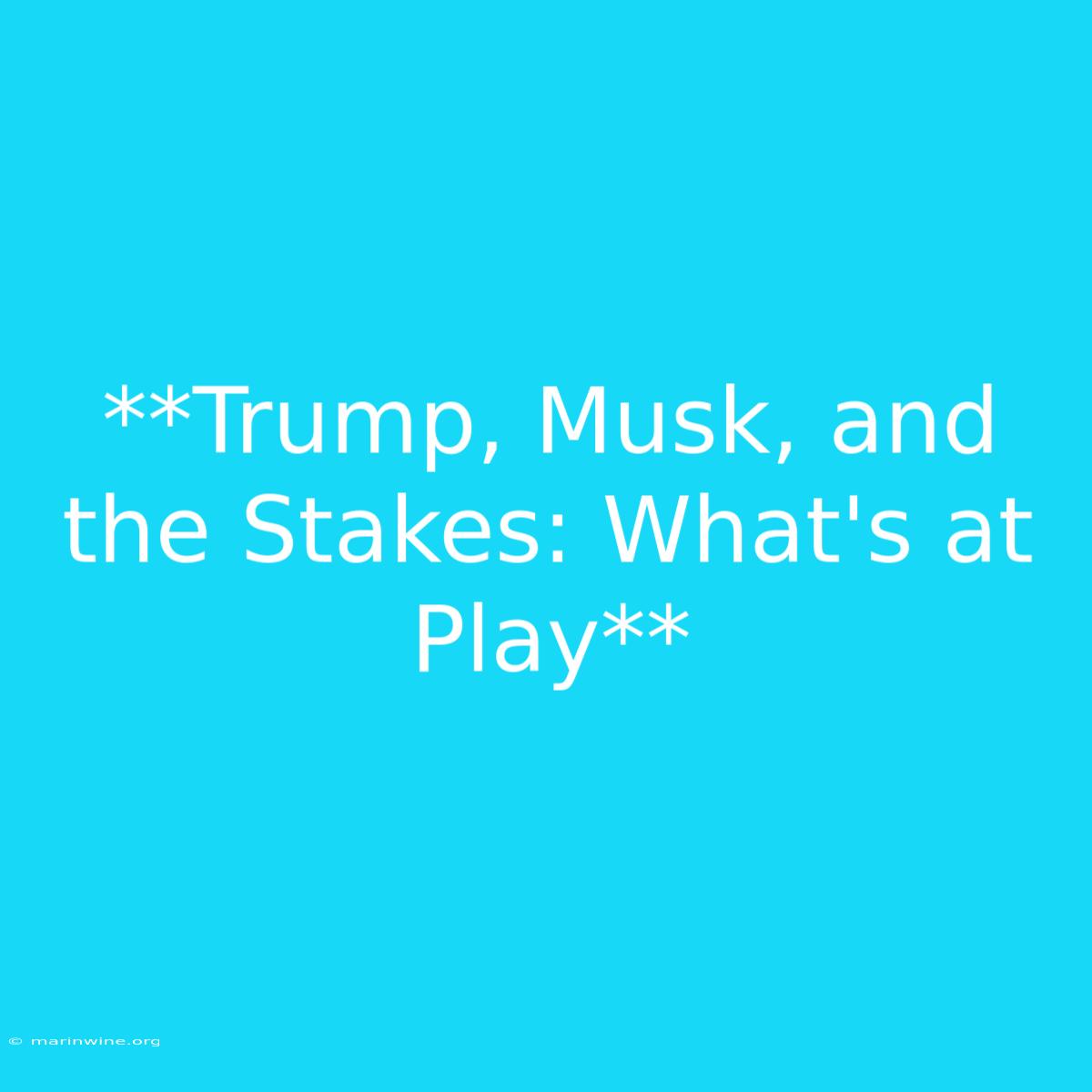 **Trump, Musk, And The Stakes: What's At Play** 