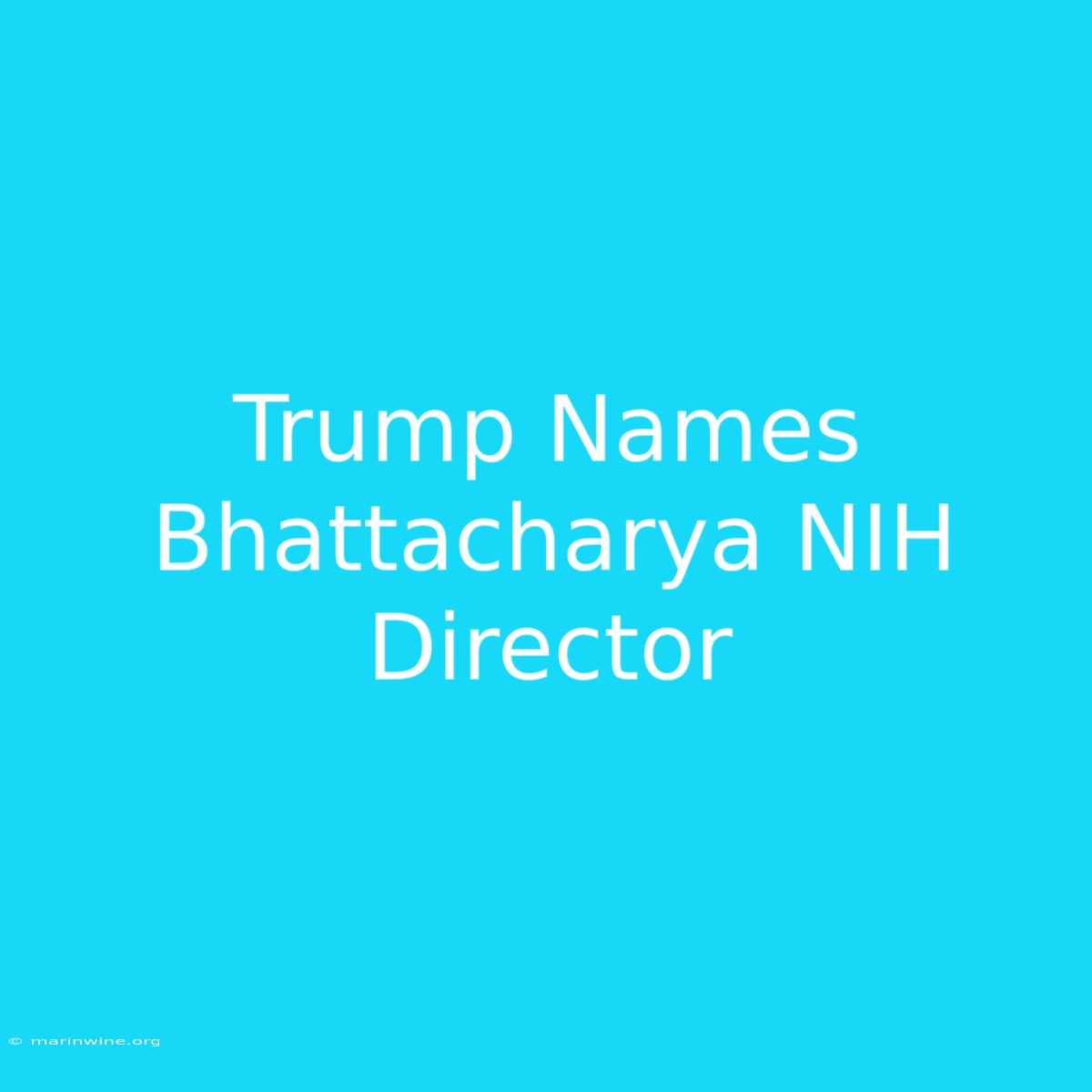 Trump Names Bhattacharya NIH Director