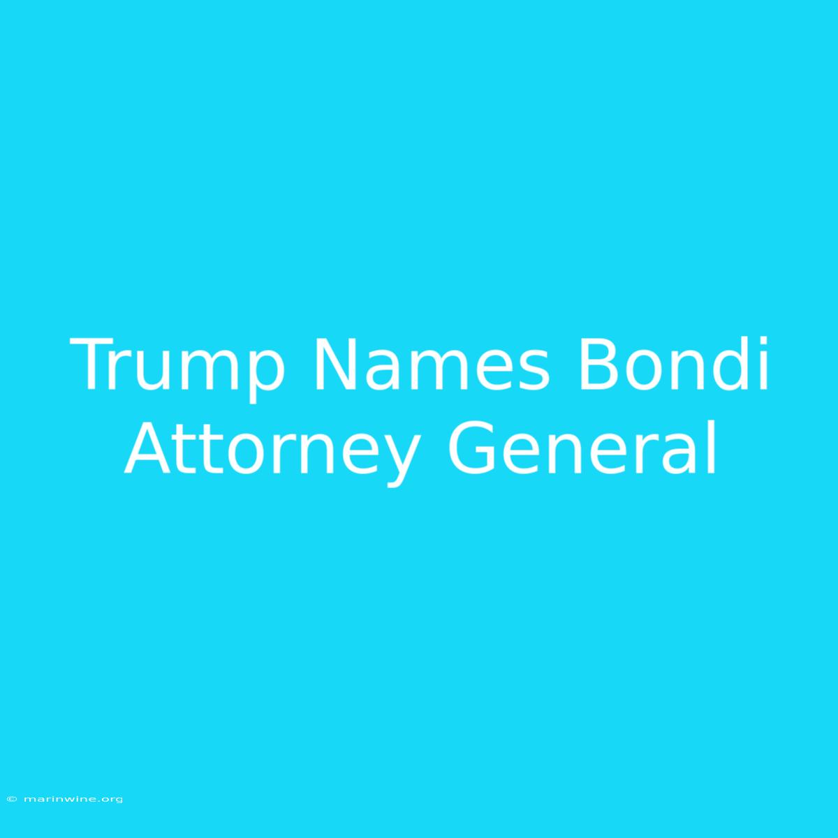 Trump Names Bondi Attorney General