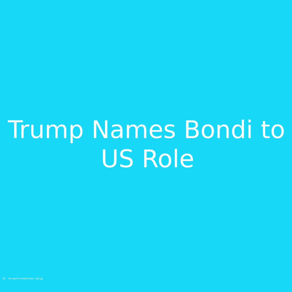 Trump Names Bondi To US Role