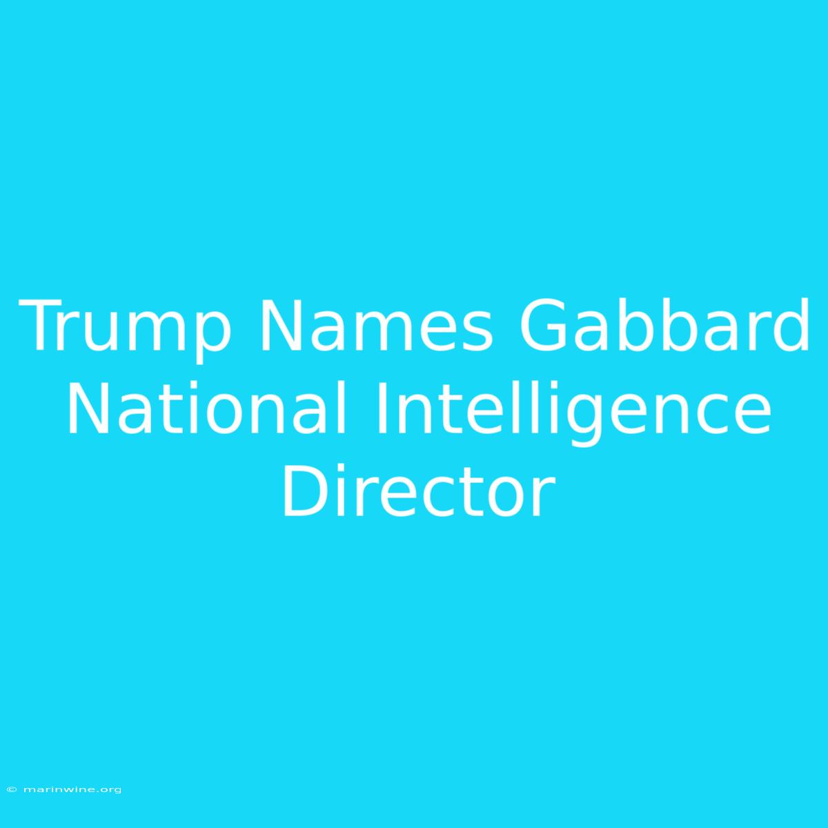 Trump Names Gabbard National Intelligence Director