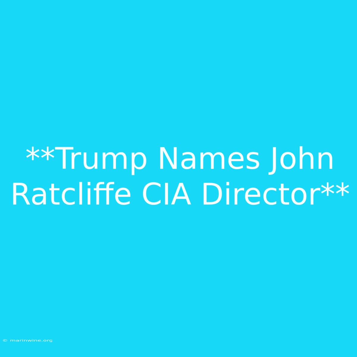 **Trump Names John Ratcliffe CIA Director**