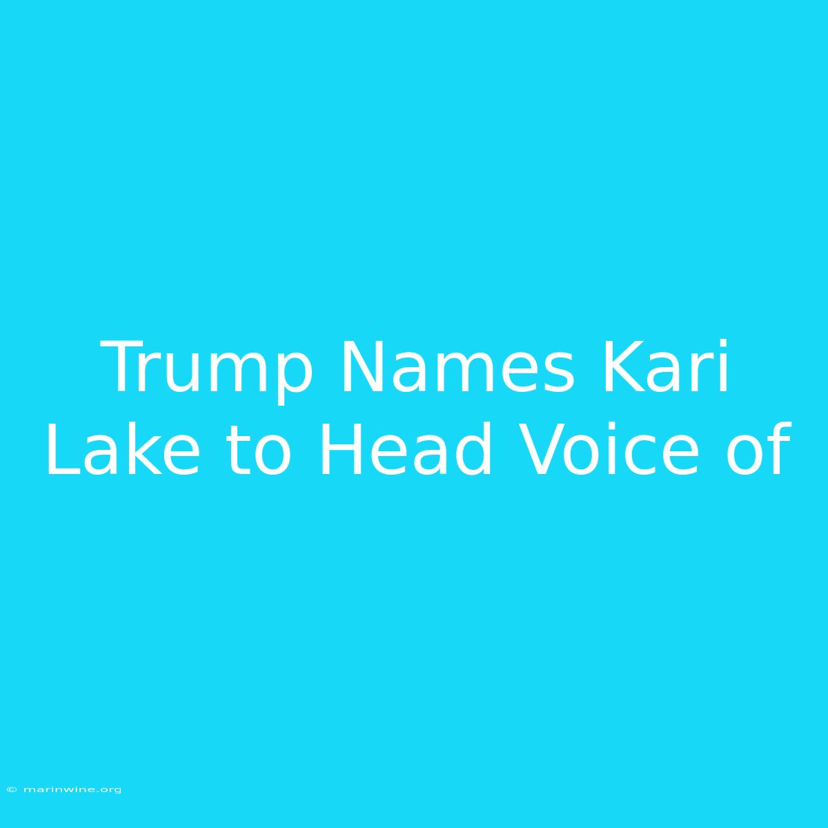 Trump Names Kari Lake To Head Voice Of